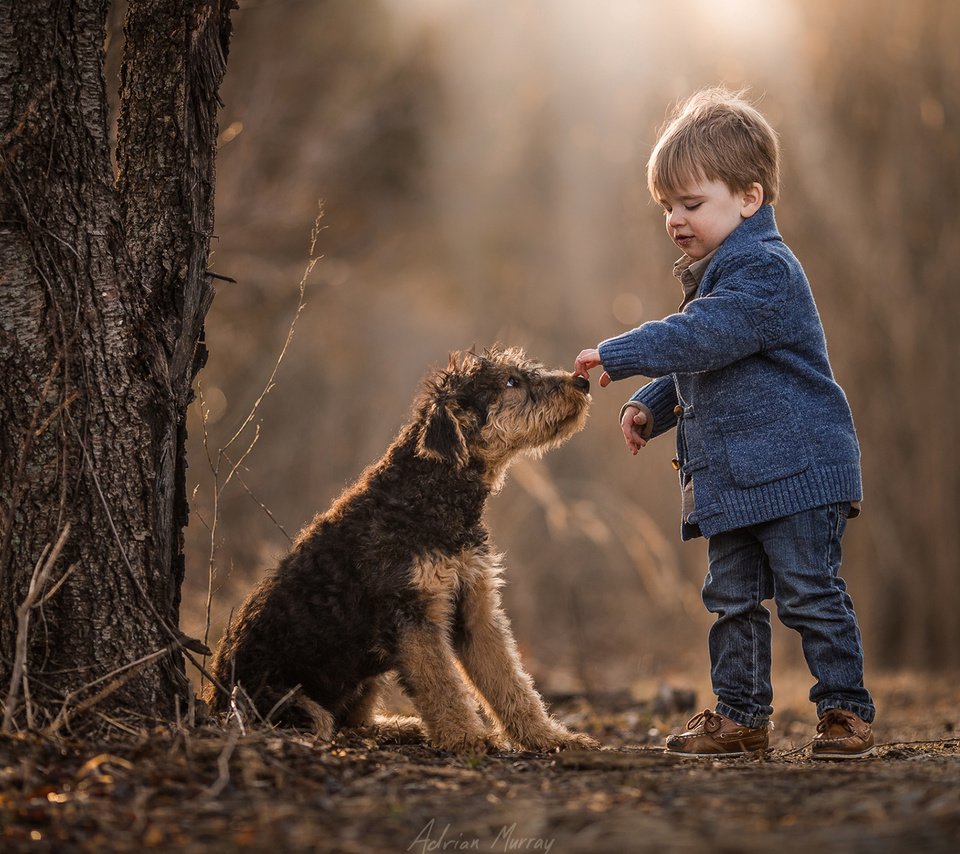 Обои собака, мальчик, друзья, dog, boy, friends разрешение 1920x1200 Загрузить