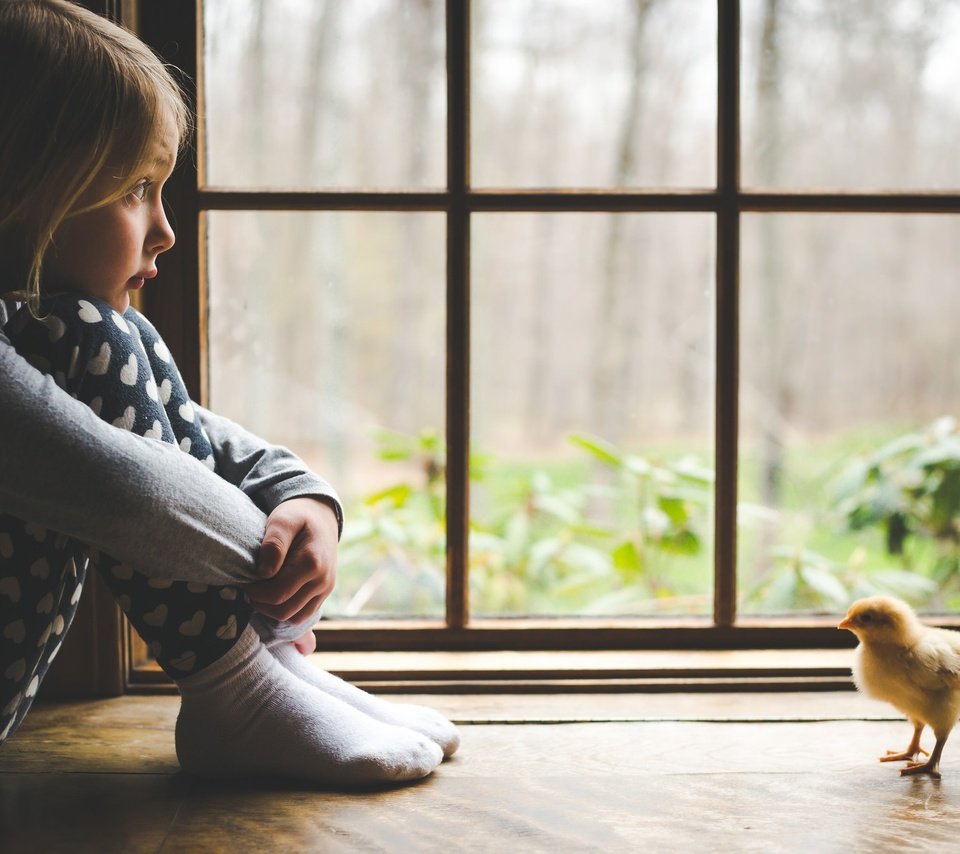 Обои дети, девочка, ребенок, окно, цыплёнок, подоконник, children, girl, child, window, chicken, sill разрешение 2048x1365 Загрузить