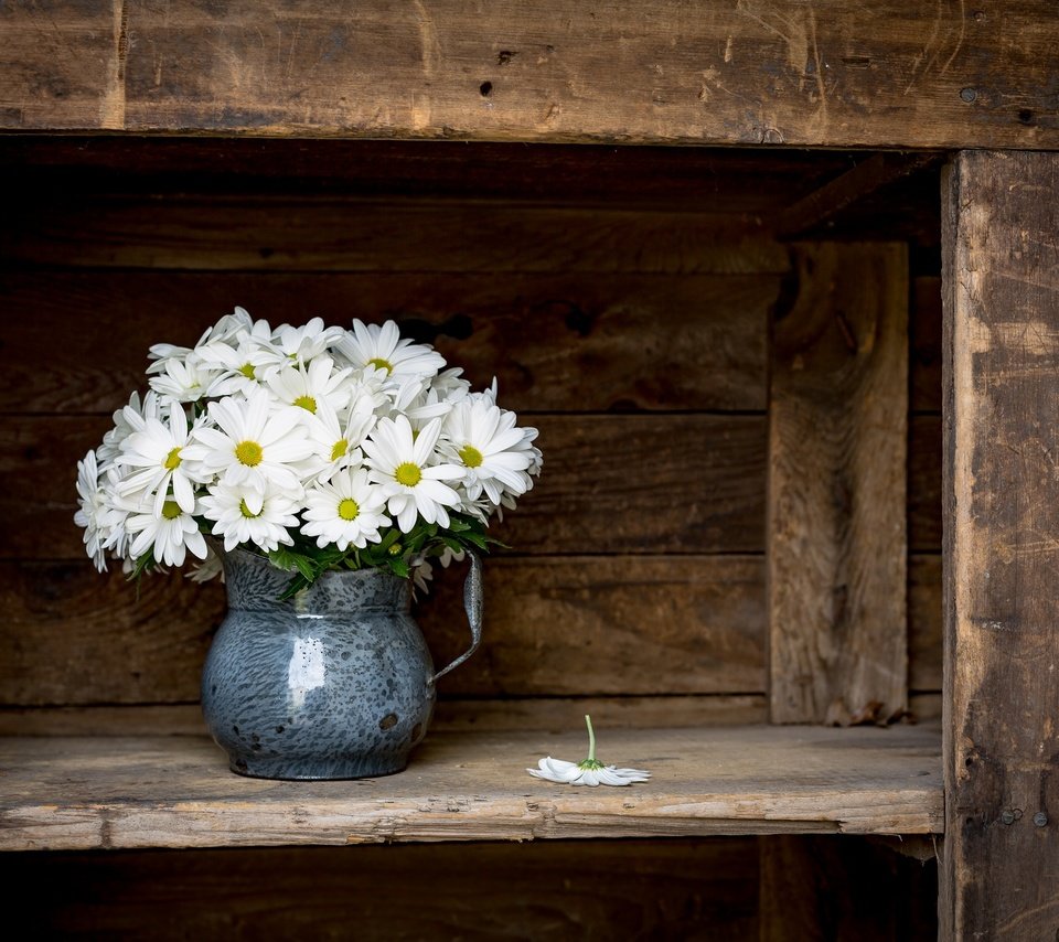 Обои цветы, фон, ромашки, букет, кувшин, flowers, background, chamomile, bouquet, pitcher разрешение 2048x1365 Загрузить
