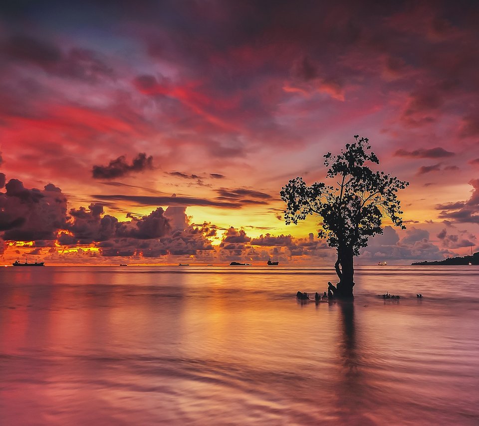 Обои облака, огни, вода, дерево, закат, отражение, корабли, clouds, lights, water, tree, sunset, reflection, ships разрешение 2048x1279 Загрузить