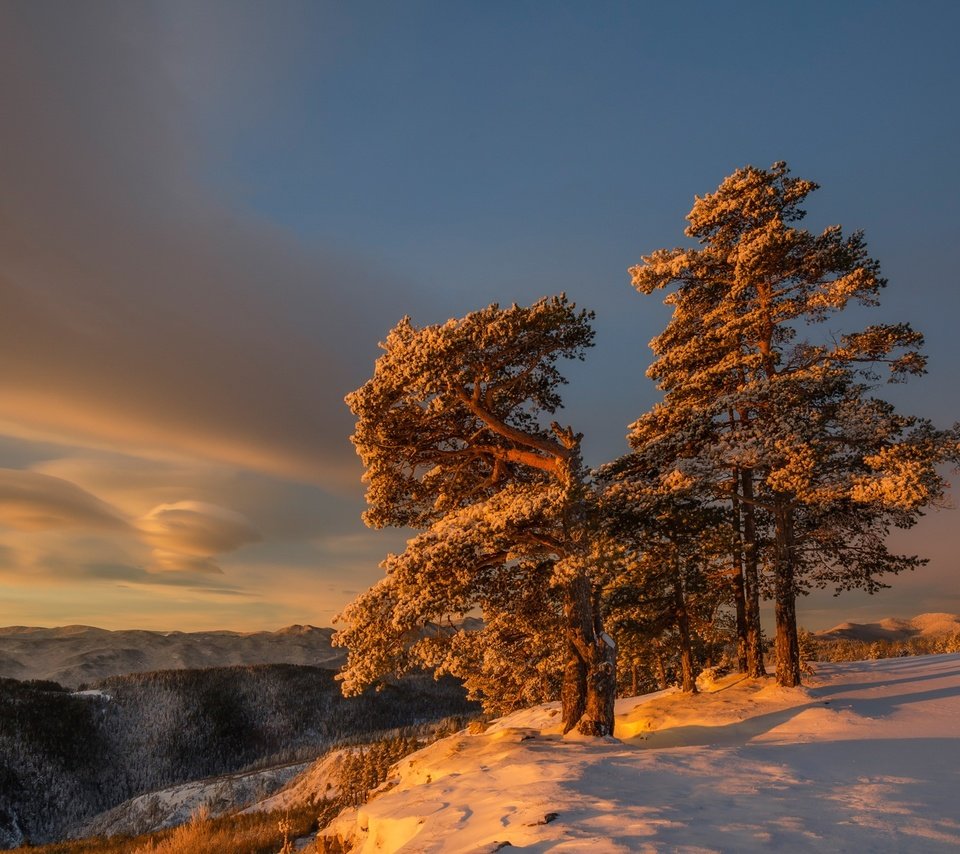 Обои небо, облака, снег, дерево, зима, утро, склон, the sky, clouds, snow, tree, winter, morning, slope разрешение 2048x1316 Загрузить