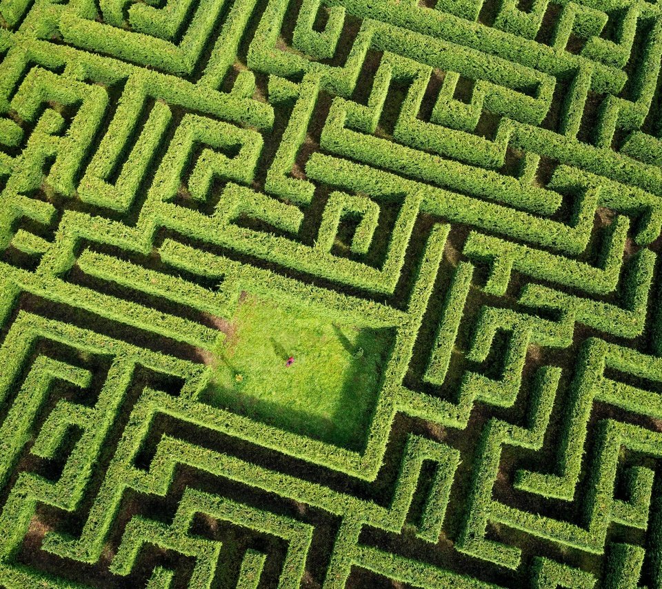 Обои зелень, растения, лабиринт, человек, greens, plants, maze, people разрешение 4320x2592 Загрузить