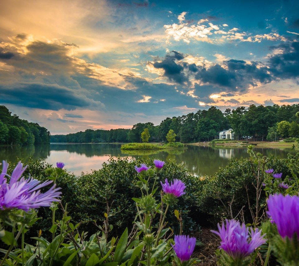 Обои небо, цветы, облака, деревья, вода, река, the sky, flowers, clouds, trees, water, river разрешение 2048x1314 Загрузить