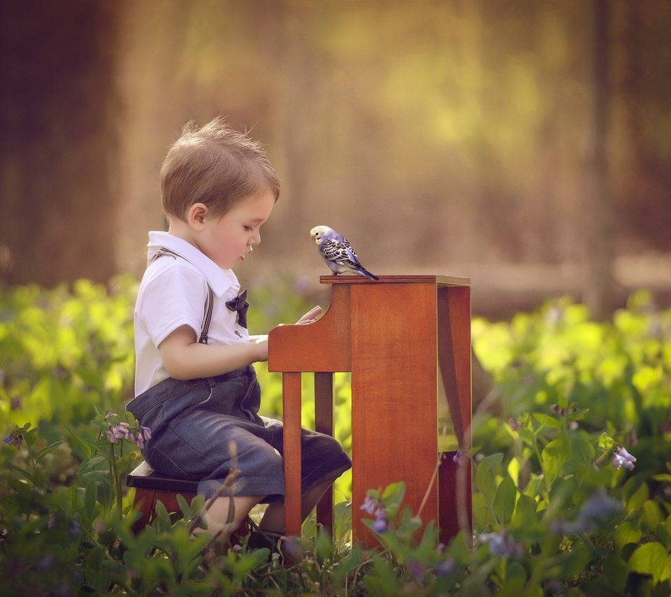 Обои цветы, природа, ребенок, мальчик, малыш, пианино, птичка, попугай, flowers, nature, child, boy, baby, piano, bird, parrot разрешение 2048x1495 Загрузить