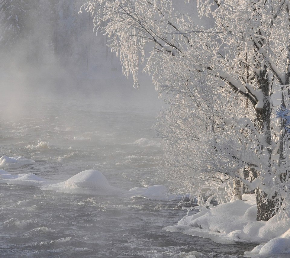 Обои река, снег, природа, дерево, лес, зима, ветки, иней, river, snow, nature, tree, forest, winter, branches, frost разрешение 1920x1200 Загрузить