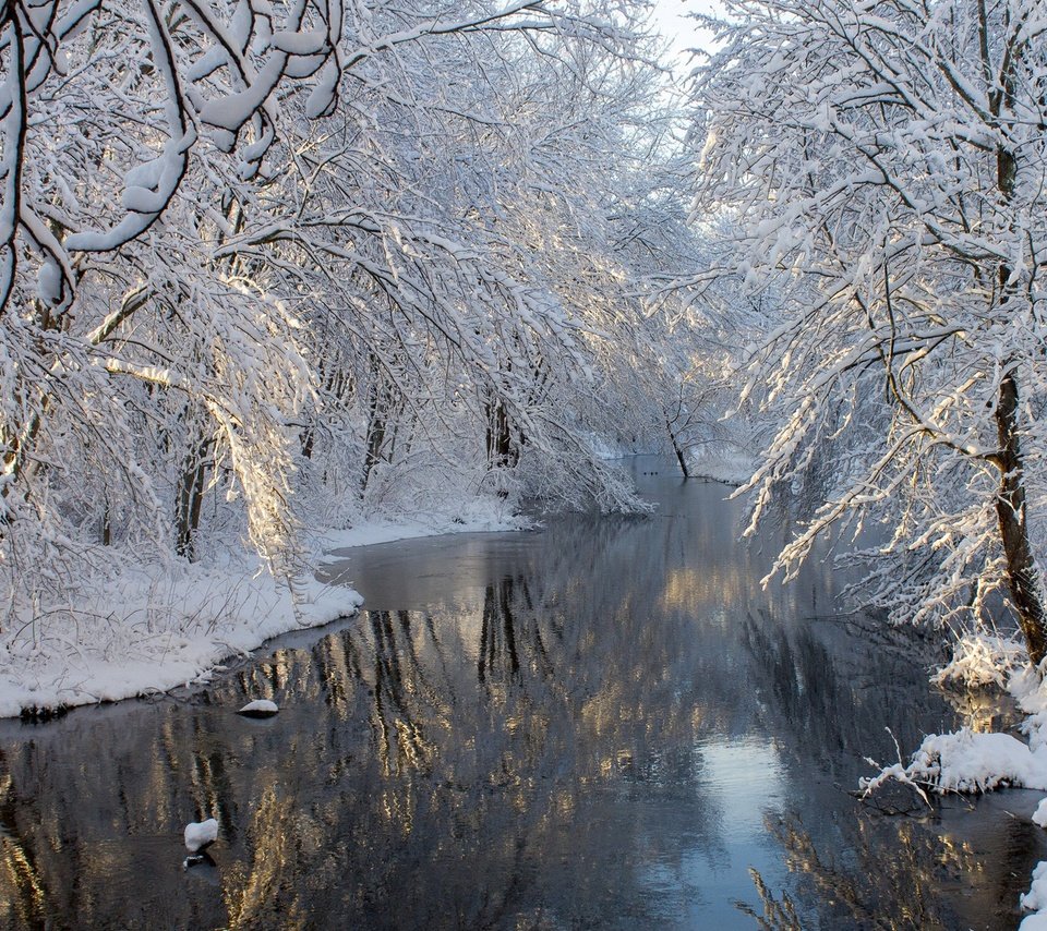 Обои деревья, река, снег, зима, отражение, пейзаж, ветви, мороз, trees, river, snow, winter, reflection, landscape, branch, frost разрешение 1920x1280 Загрузить
