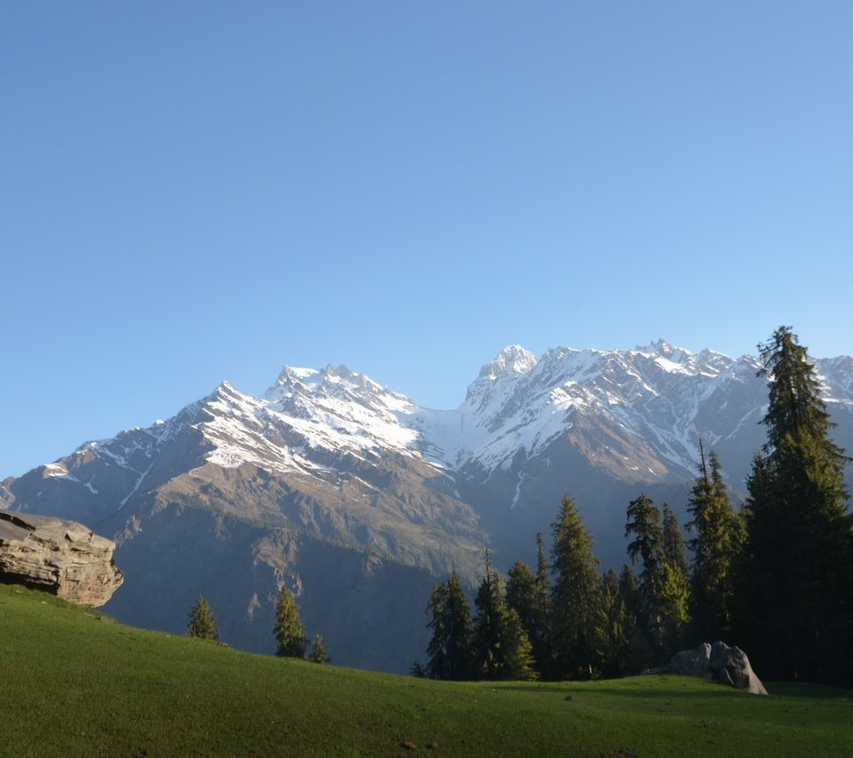 Обои небо, трава, деревья, горы, снег, природа, лес, индия, the sky, grass, trees, mountains, snow, nature, forest, india разрешение 4928x3264 Загрузить