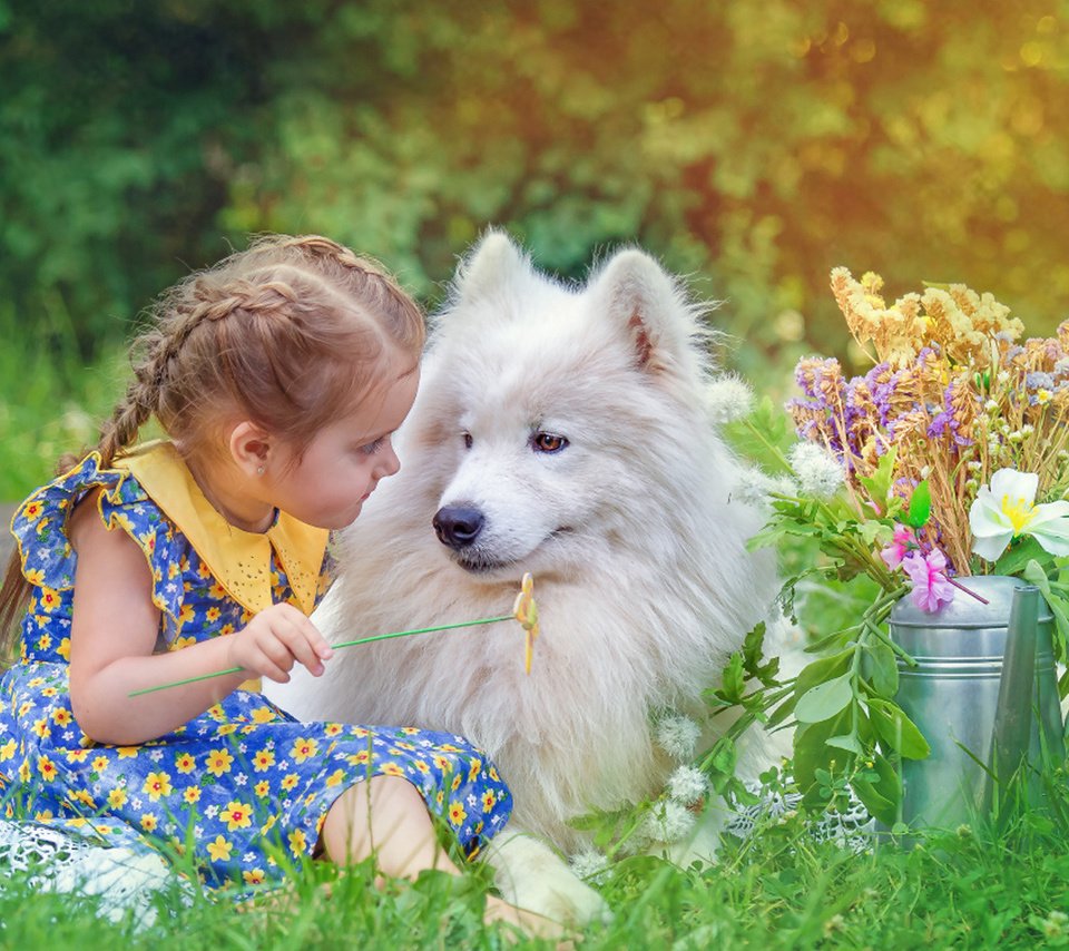 Обои цветы, трава, природа, собака, дети, девочка, животное, друзья, flowers, grass, nature, dog, children, girl, animal, friends разрешение 1920x1200 Загрузить