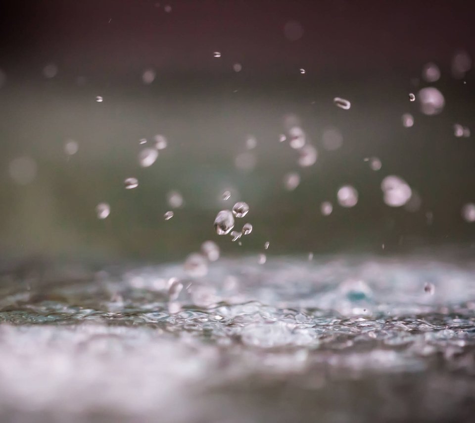 Обои вода, макро, капли, дождь, silvrshootr, water, macro, drops, rain разрешение 1920x1200 Загрузить