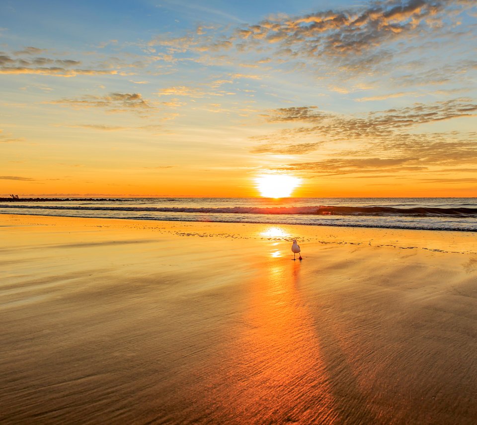 Обои закат, море, пляж, чайка, 14, sunset, sea, beach, seagull разрешение 5426x3593 Загрузить