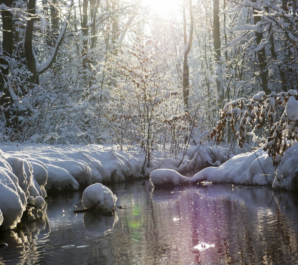 Обои река, природа, лес, зима, river, nature, forest, winter разрешение 2880x1800 Загрузить