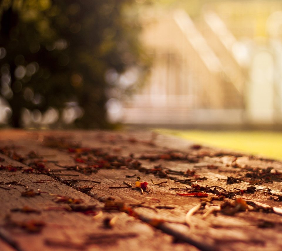 Обои дерево, листья, макро, осень, листопад, боке, tree, leaves, macro, autumn, falling leaves, bokeh разрешение 1920x1200 Загрузить