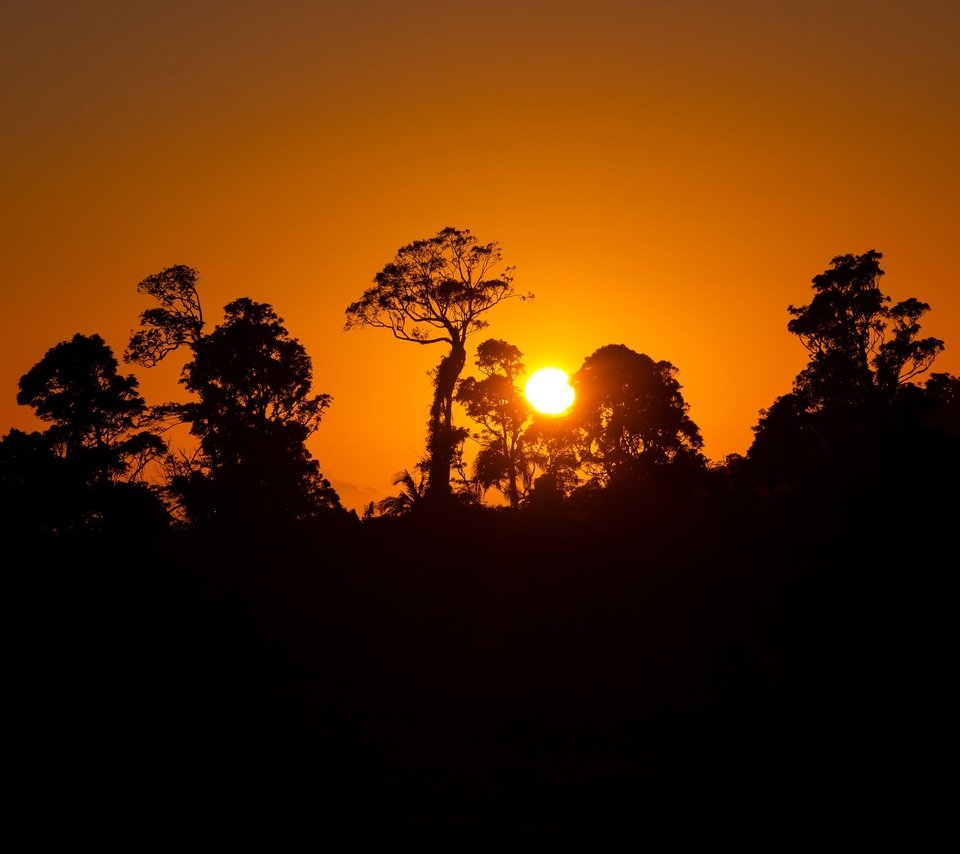 Обои небо, деревья, солнце, закат, силуэт, the sky, trees, the sun, sunset, silhouette разрешение 3840x2400 Загрузить