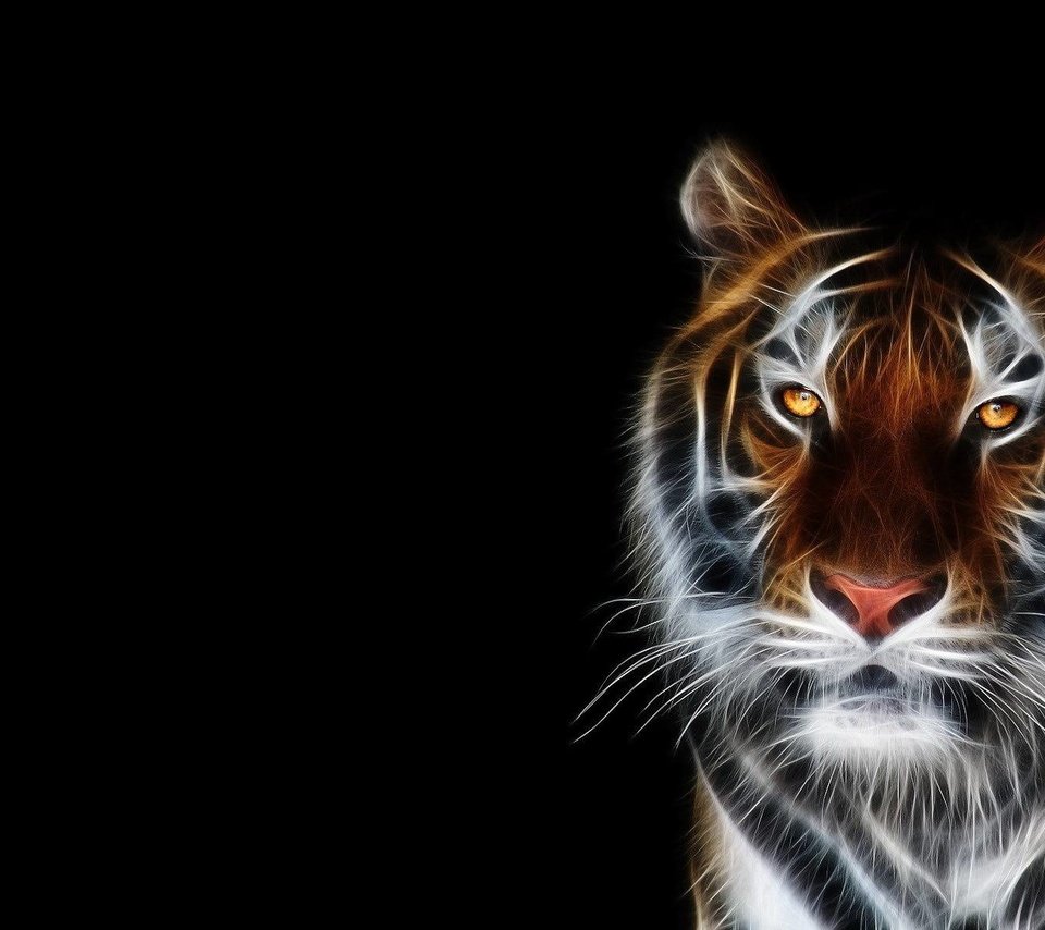 Обои тигр, морда, фон, черный, tiger, face, background, black разрешение 1920x1200 Загрузить