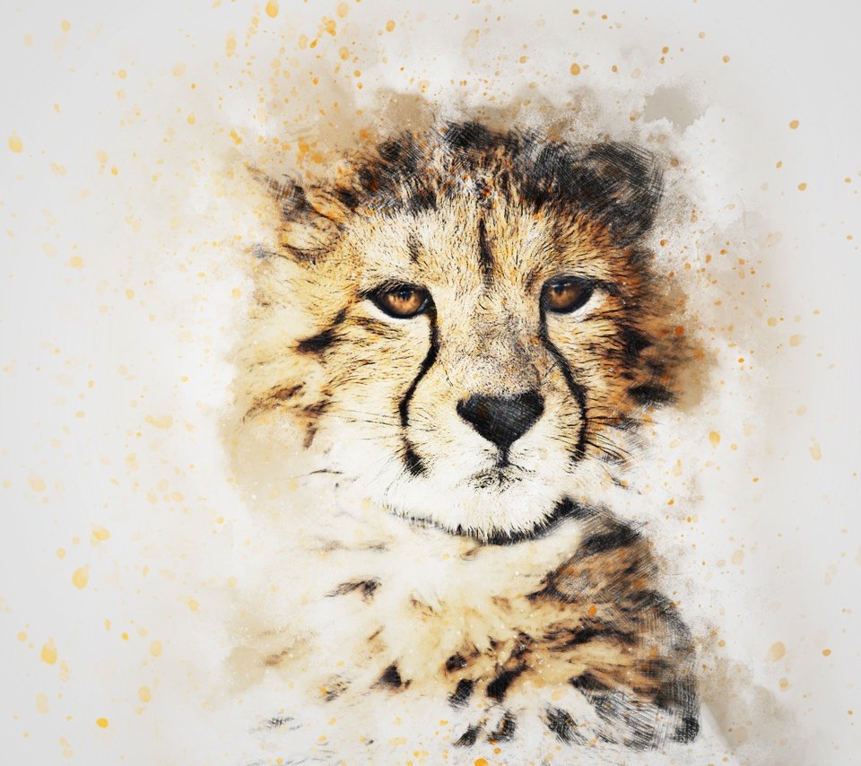 Обои морда, картина, взгляд, гепард, акварель, face, picture, look, cheetah, watercolor разрешение 3000x2000 Загрузить