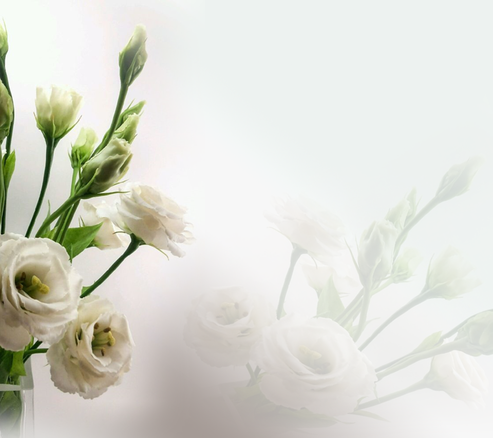 Обои цветы, бутоны, розы, букет, ваза, эустома, flowers, buds, roses, bouquet, vase, eustoma разрешение 1920x1200 Загрузить