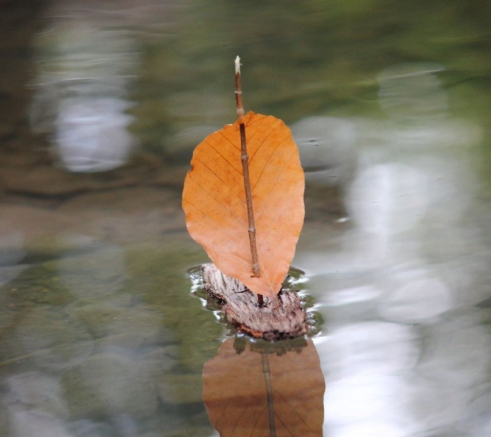 Обои осень, листик, лужа, парус, autumn, leaf, puddle, sail разрешение 1920x1280 Загрузить