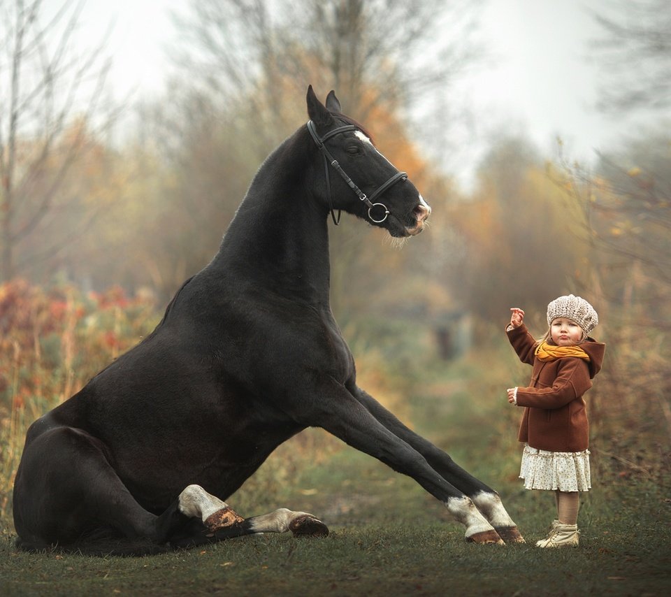 Обои лошадь, девочка, малышка, дрессура, horse, girl, baby, taming разрешение 1920x1280 Загрузить