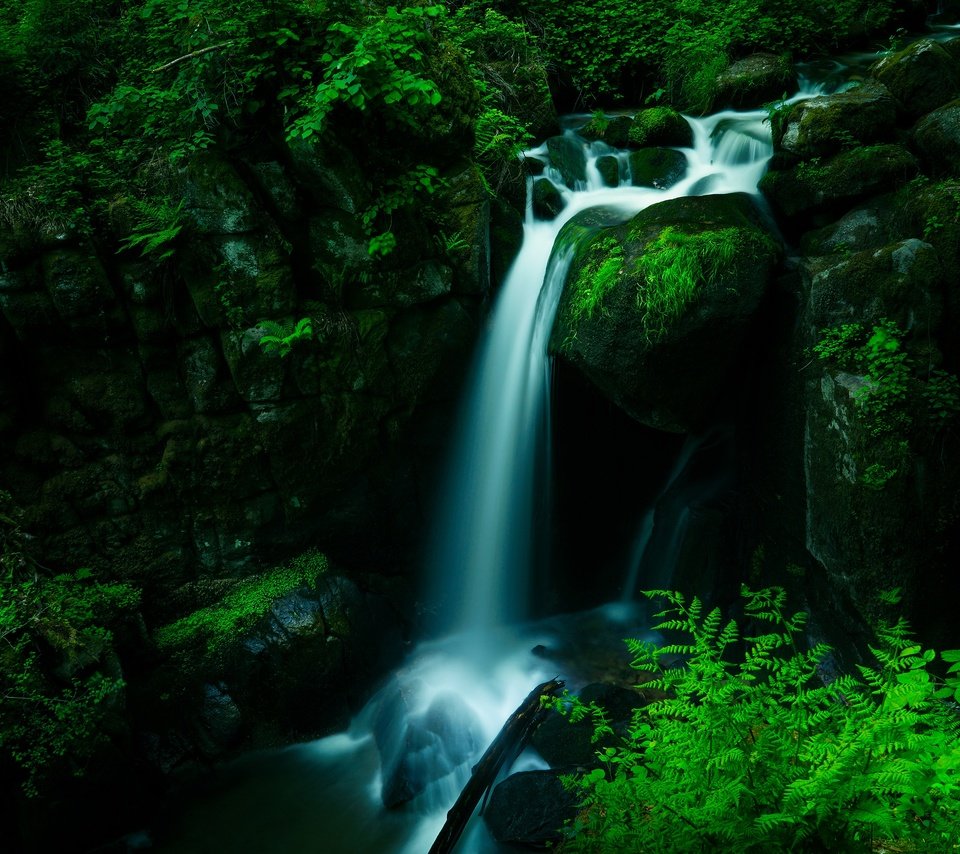Обои лес, водопад, темный фон, forest, waterfall, the dark background разрешение 3840x2160 Загрузить