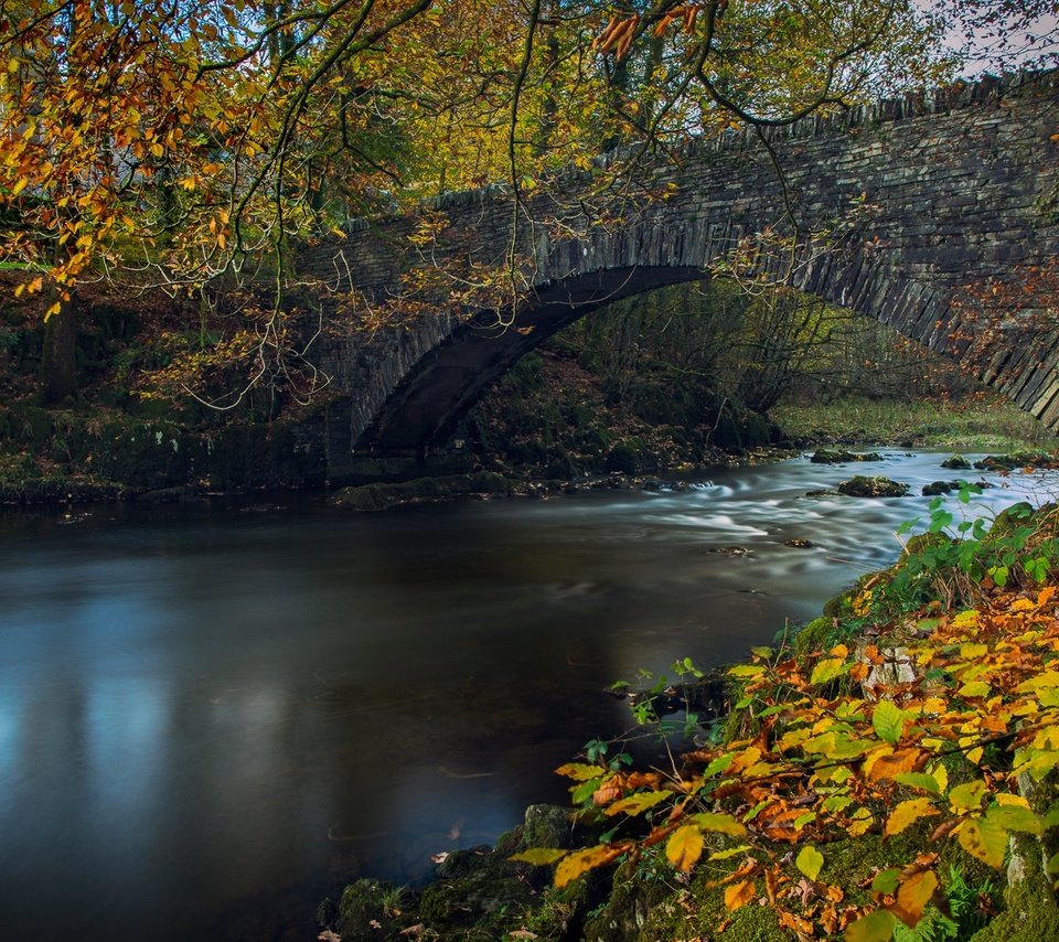 Обои река, листья, ветки, мост, осень, англия, lake district, камбрия, river, leaves, branches, bridge, autumn, england, cumbria разрешение 2048x1148 Загрузить