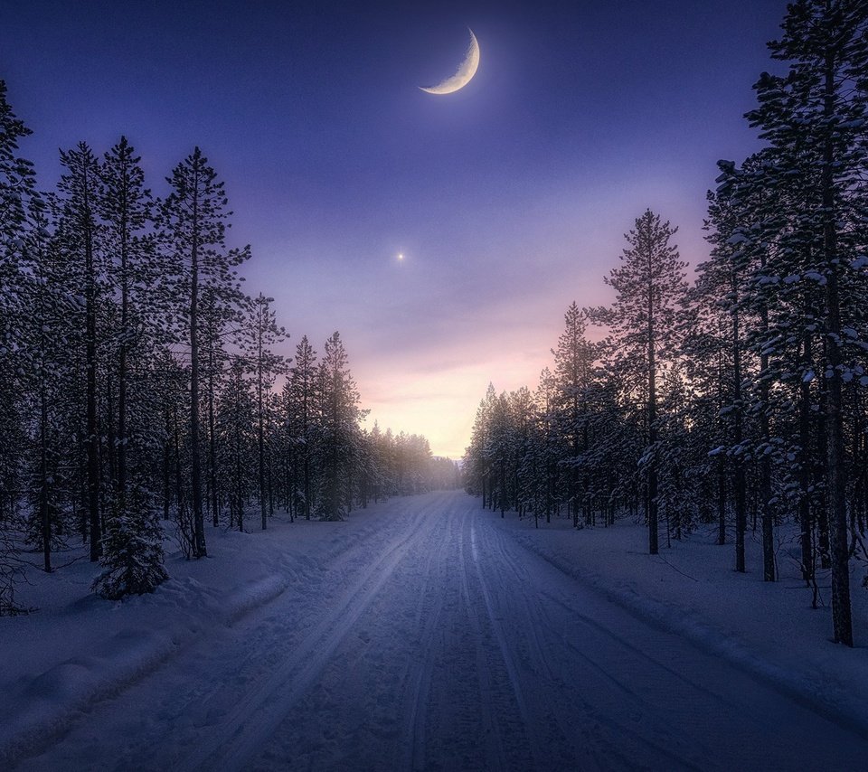 Обои небо, дорога, деревья, снег, лес, зима, месяц, the sky, road, trees, snow, forest, winter, a month разрешение 2200x1238 Загрузить