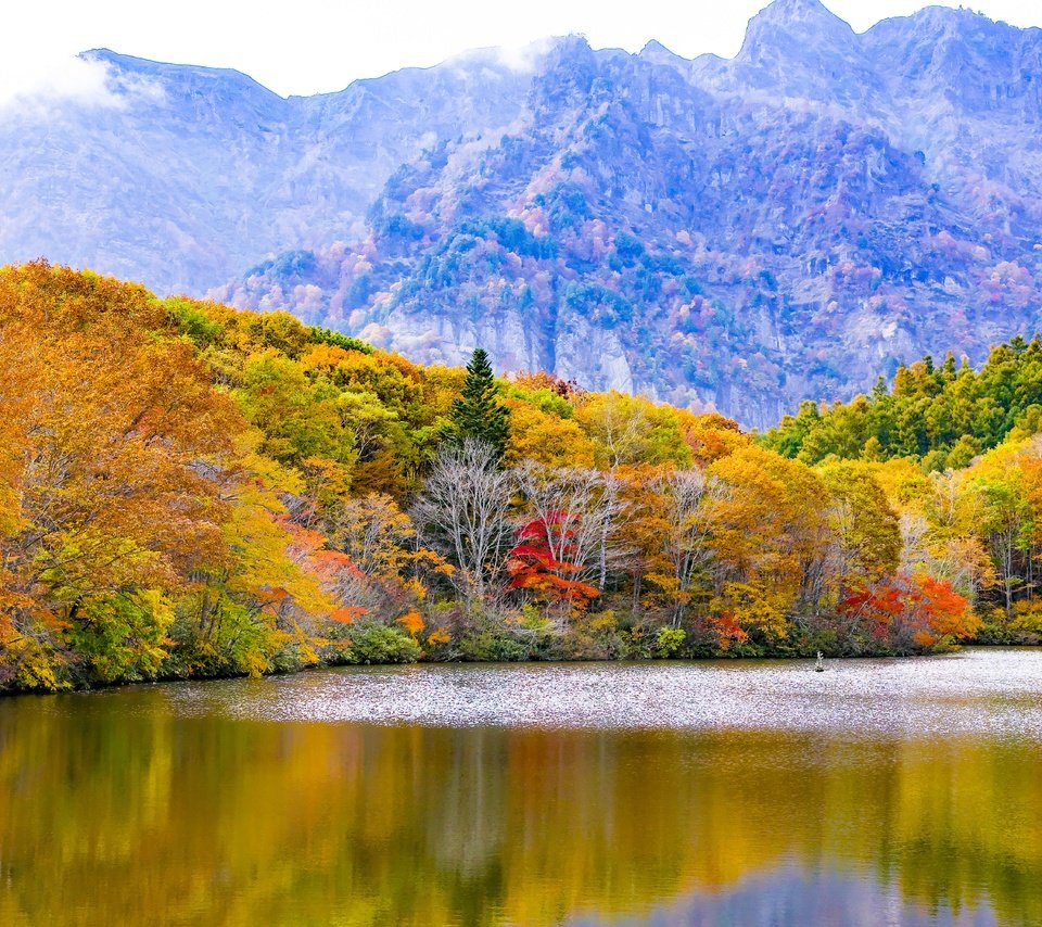 Обои деревья, озеро, горы, природа, отражение, осень, trees, lake, mountains, nature, reflection, autumn разрешение 6016x4000 Загрузить