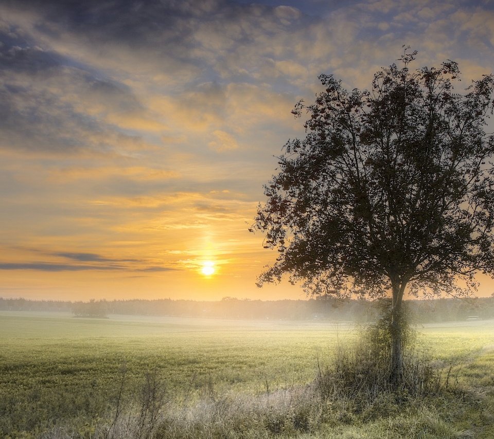 Обои природа, дерево, закат, туман, поле, nature, tree, sunset, fog, field разрешение 1920x1178 Загрузить