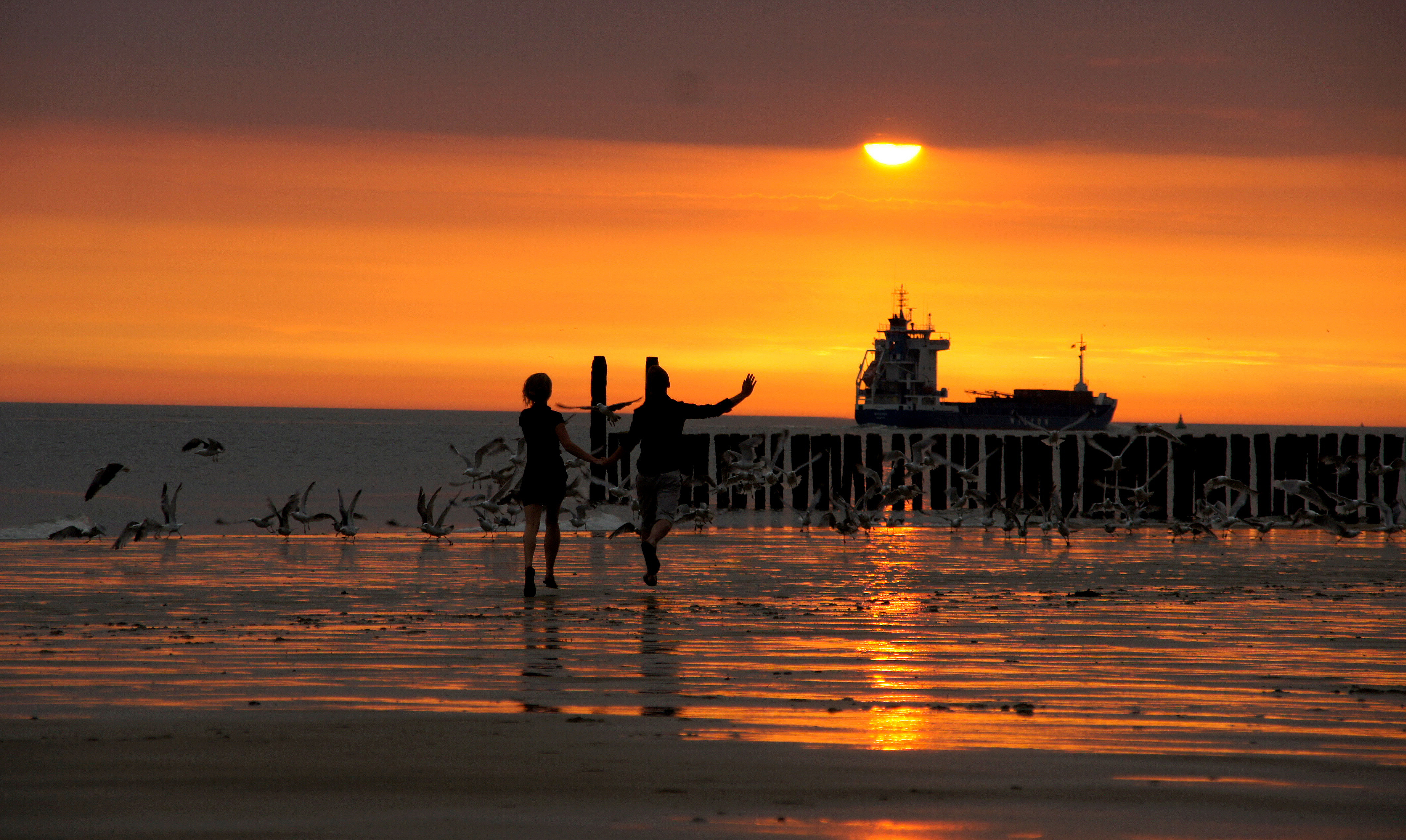 Обои волны, закат, пляж, wave, sunset, beach разрешение 4246x2538 Загрузить