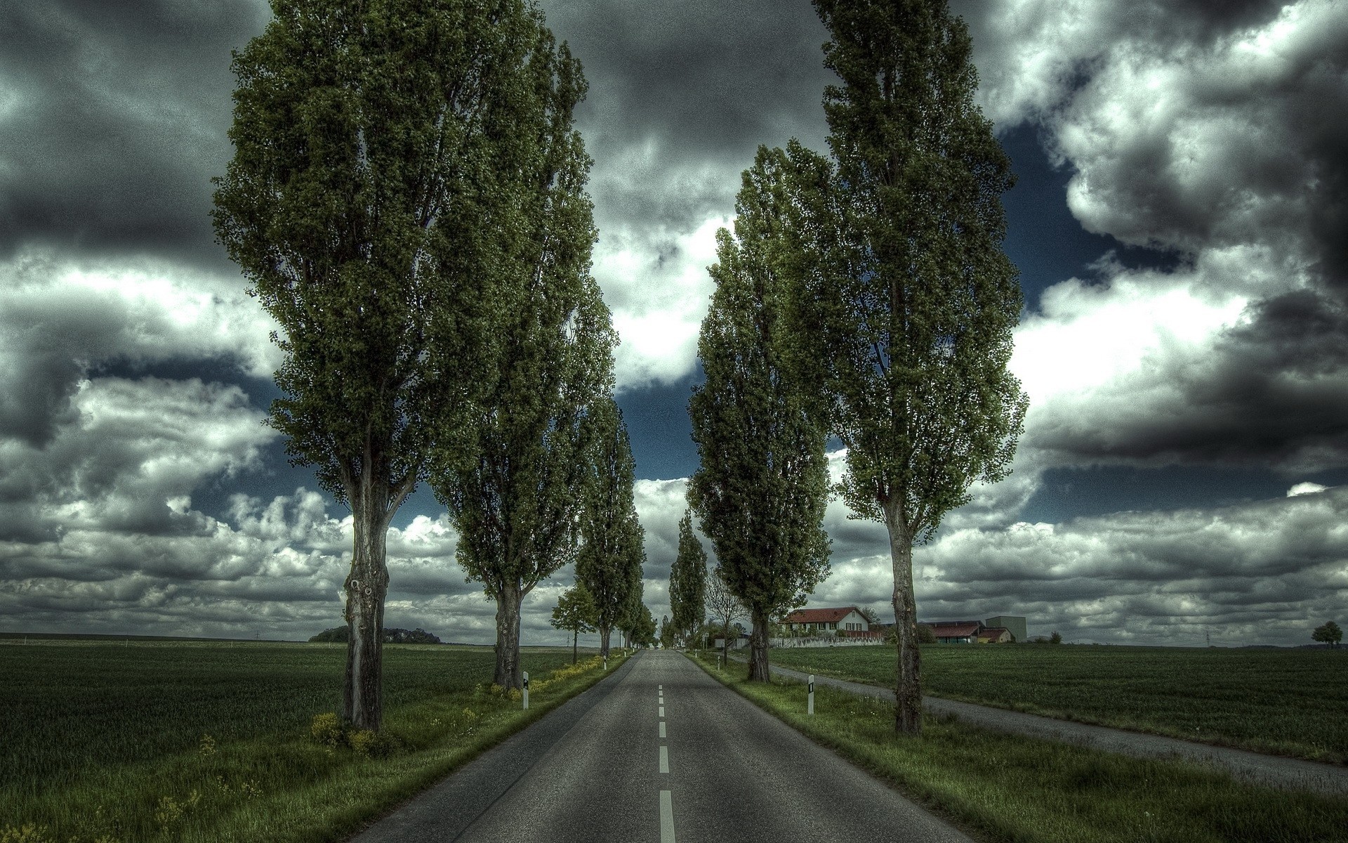 Обои дорога, деревья, дом, road, trees, house разрешение 1920x1200 Загрузить