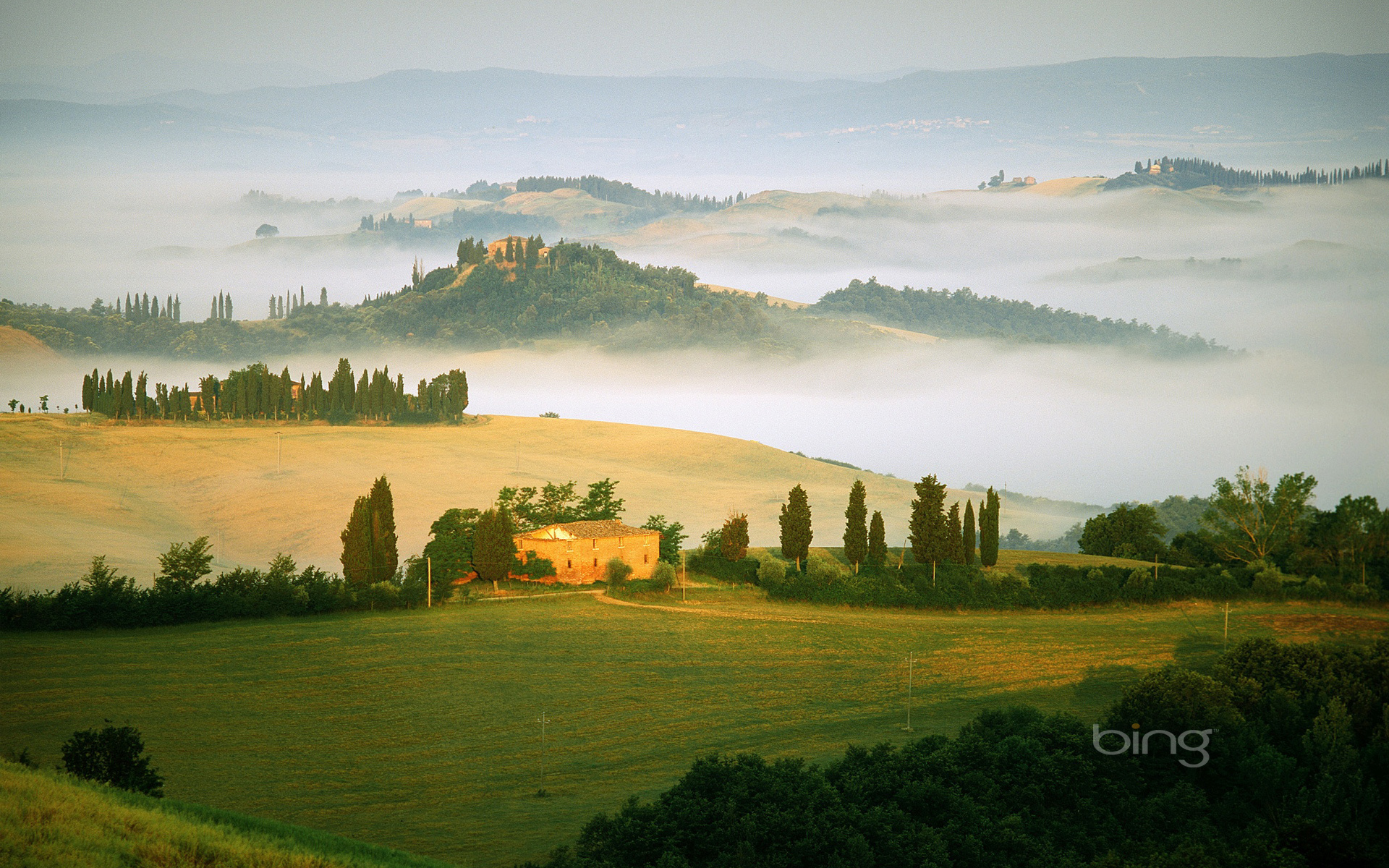 Обои поля, туман, италия, field, fog, italy разрешение 1920x1200 Загрузить