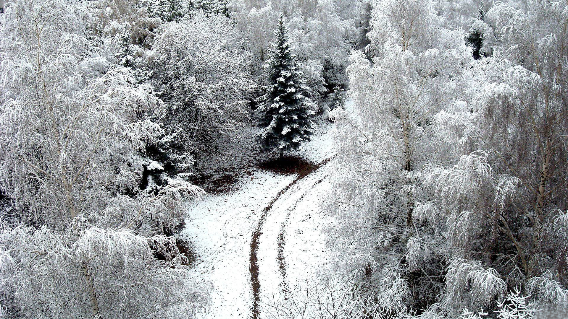 Обои дорога, деревья, снег, обои, зима, winer, деревь, на природе, автодорога, road, trees, snow, wallpaper, winter, nature разрешение 1920x1080 Загрузить