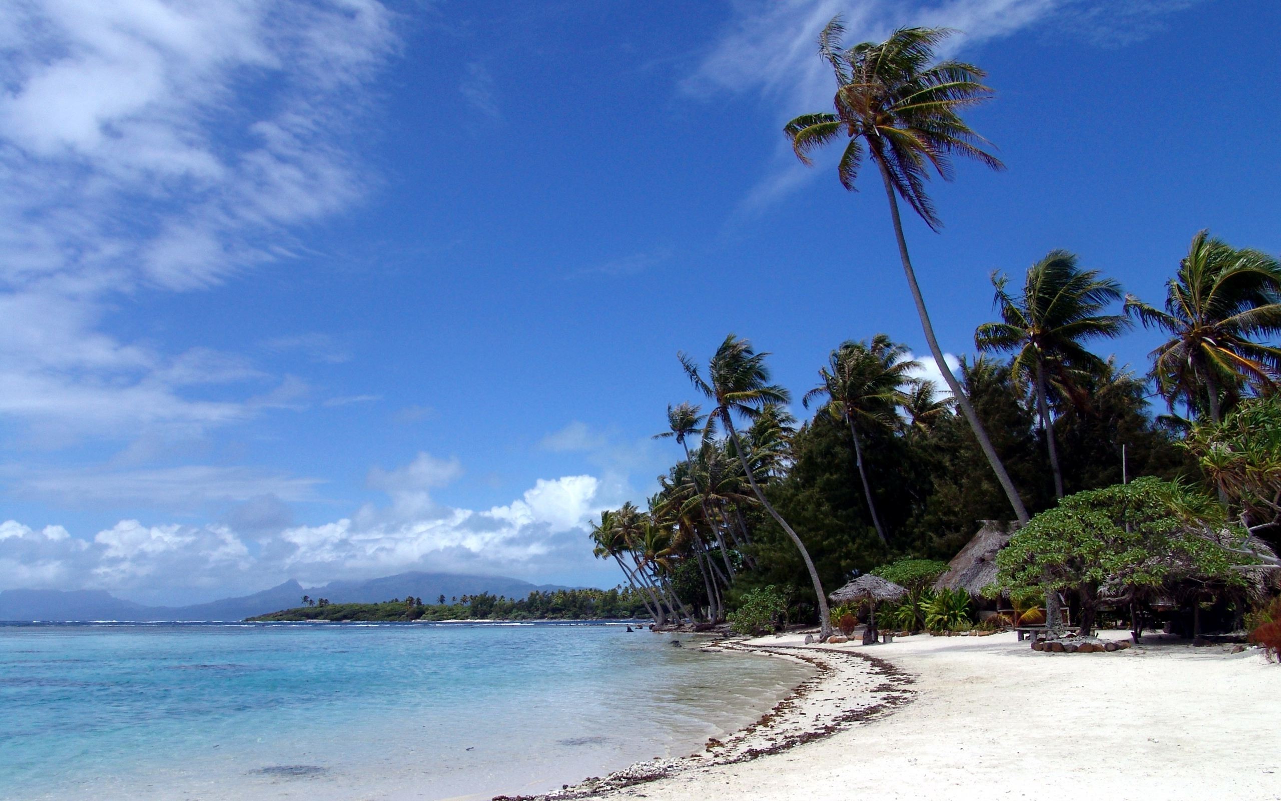 Обои песок, пляж, пальмы, sand, beach, palm trees разрешение 2560x1600 Загрузить