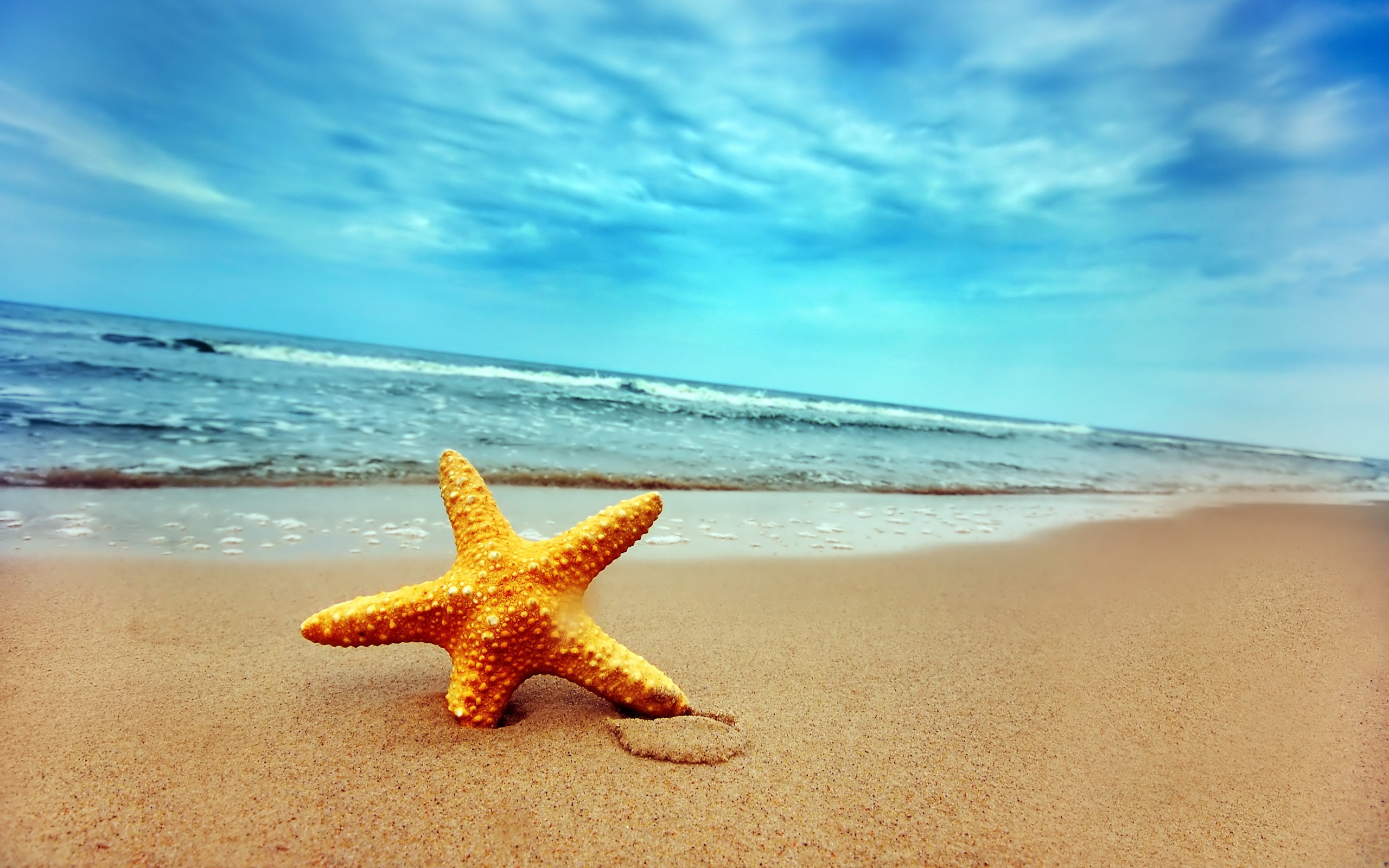 Обои берег, волны, песок, звезда, shore, wave, sand, star разрешение 2560x1600 Загрузить