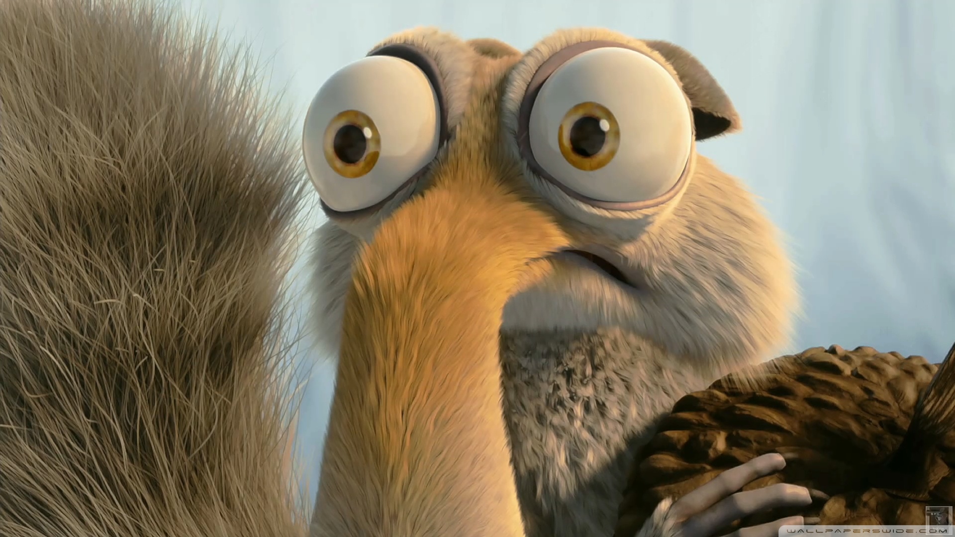 Обои ледниковый период, белка, орех, ice age, protein, walnut разрешение 1920x1080 Загрузить