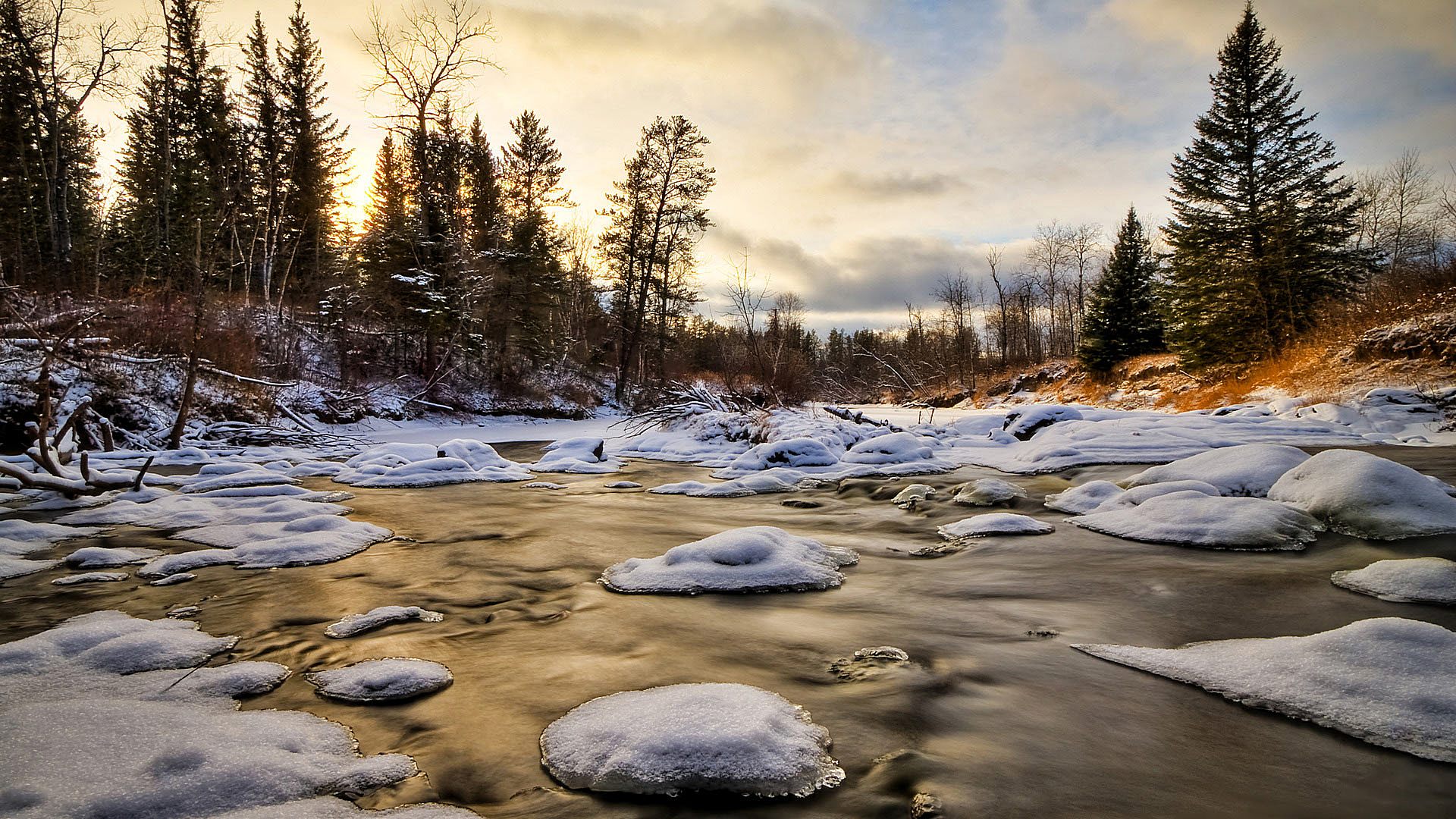 Обои деревья, вода, снег, лес, зима, лёд, trees, water, snow, forest, winter, ice разрешение 1920x1080 Загрузить