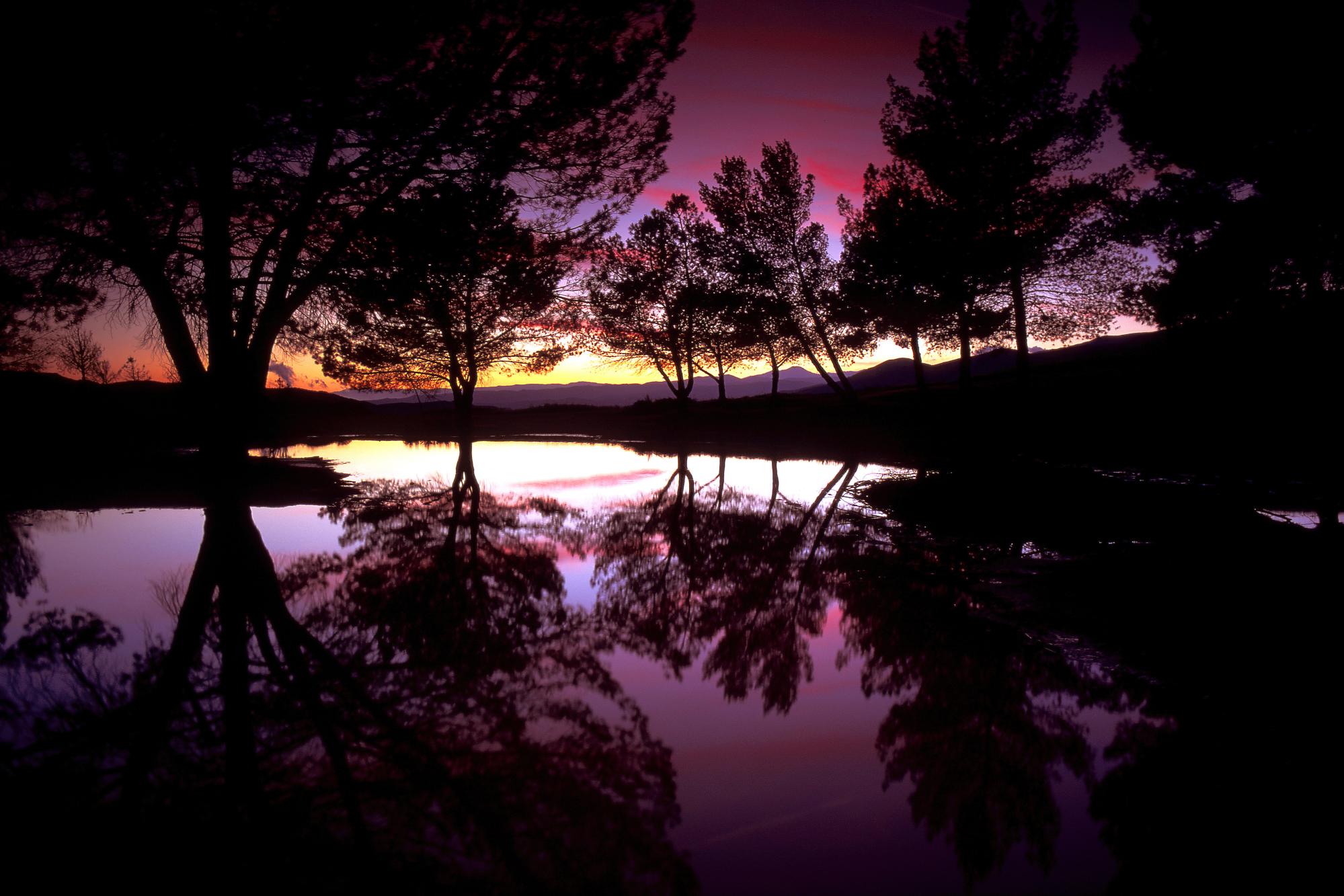 Обои деревья, вечер, озеро, закат, отражение, trees, the evening, lake, sunset, reflection разрешение 1999x1333 Загрузить