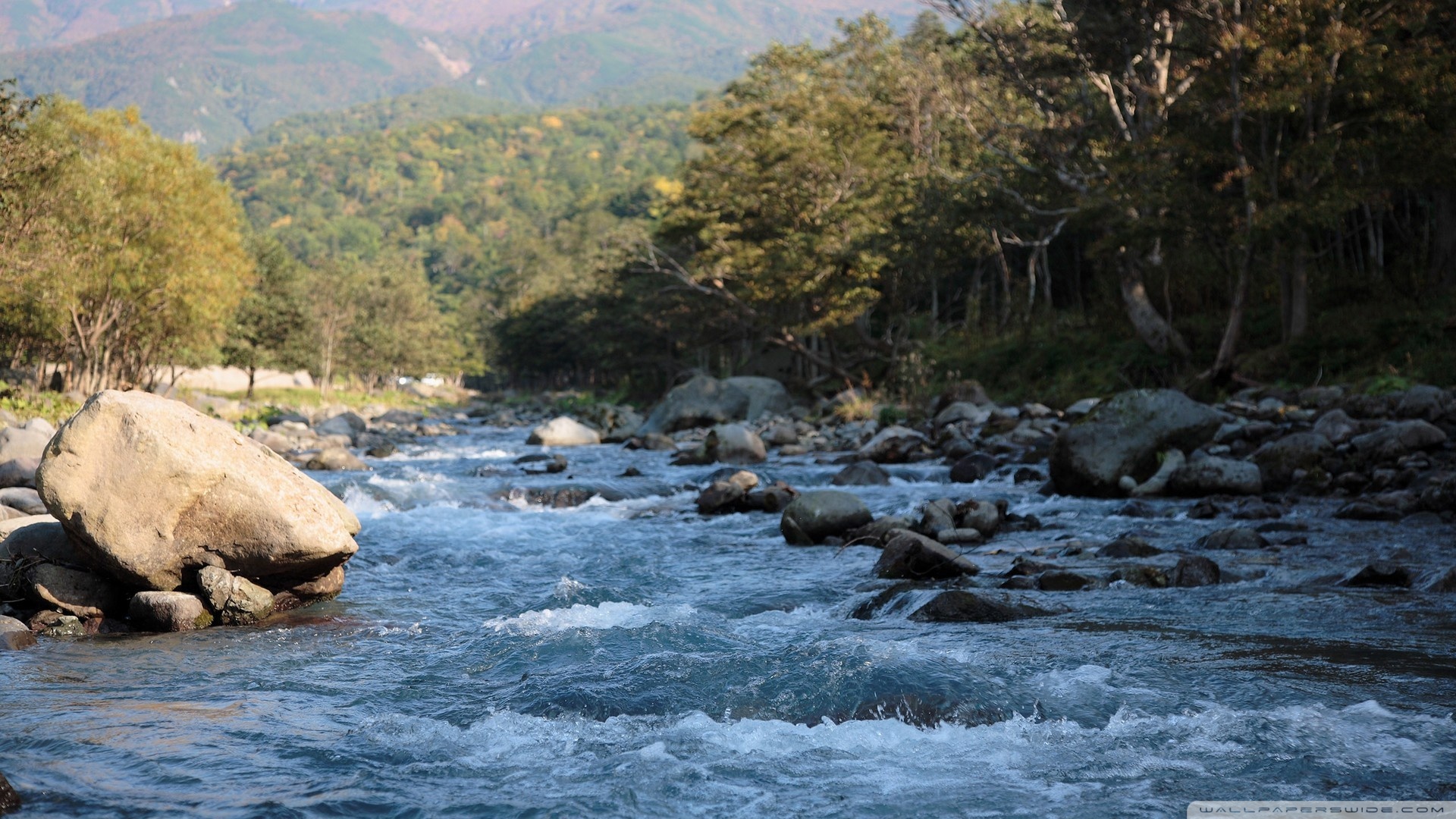 Обои вода, камни, брызги, поток, горная река, water, stones, squirt, stream, mountain river разрешение 1920x1080 Загрузить