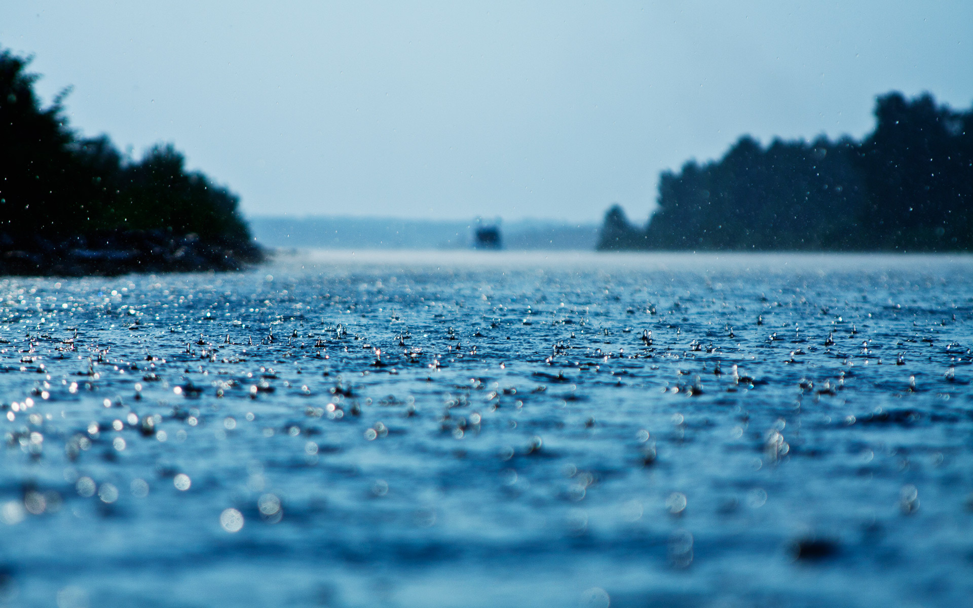 Обои вода, капли, дождь, поверхность, осадки, water, drops, rain, surface разрешение 1920x1200 Загрузить