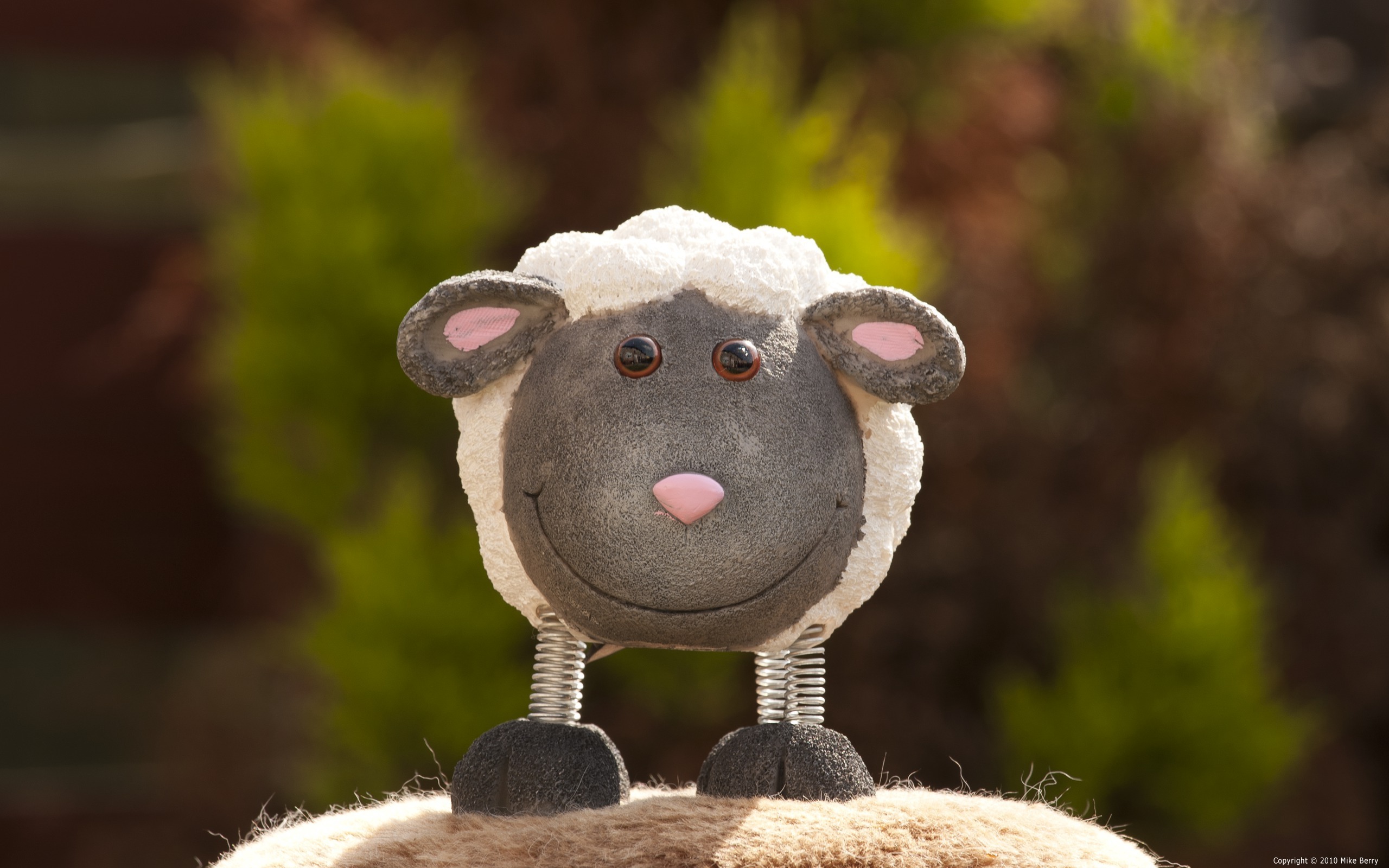 Обои фото, улыбка, игрушка, овечка, photo, smile, toy, sheep разрешение 2560x1600 Загрузить