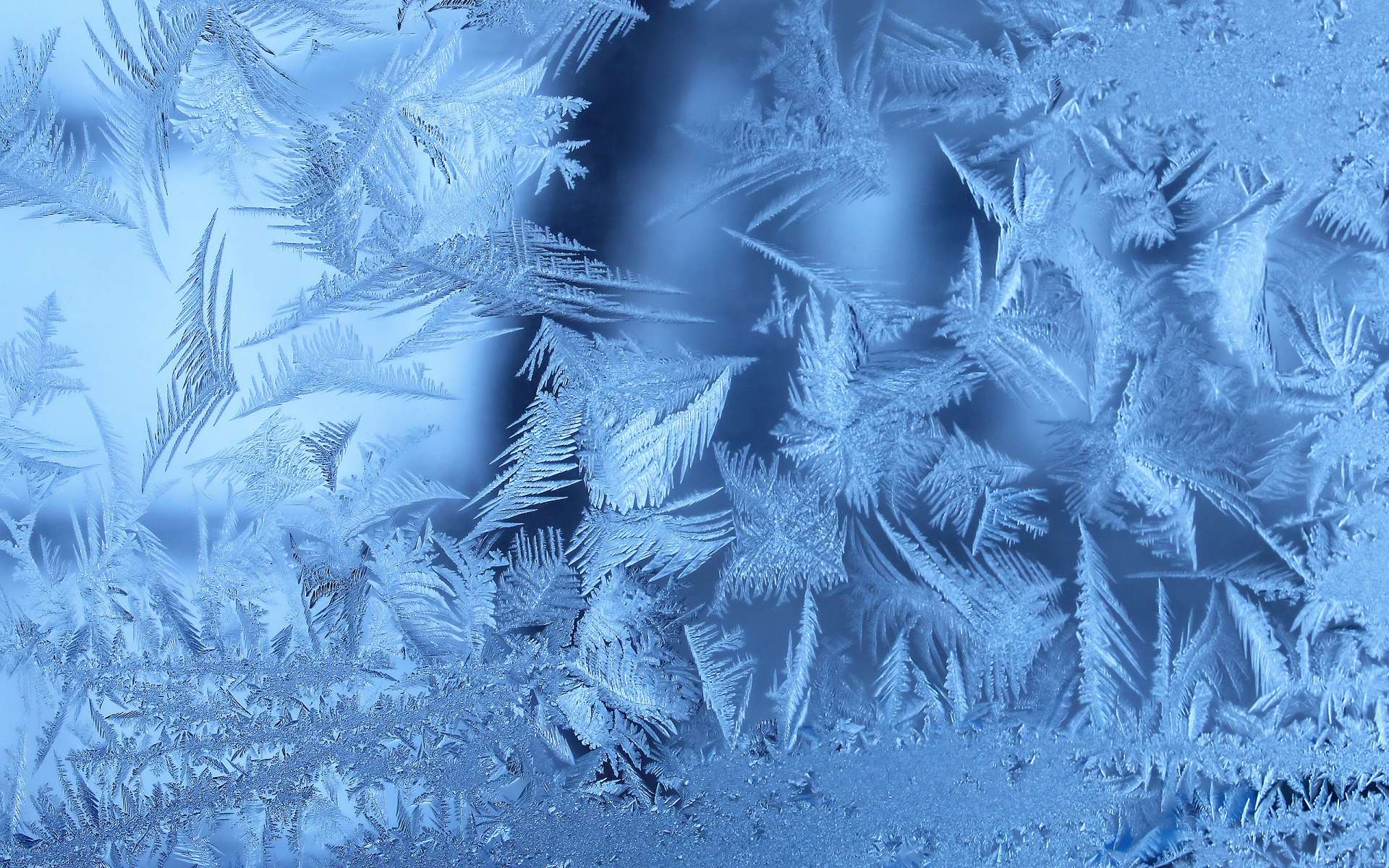 Обои зима, мороз, иней, узоры, стекло, winter, frost, patterns, glass разрешение 1920x1200 Загрузить