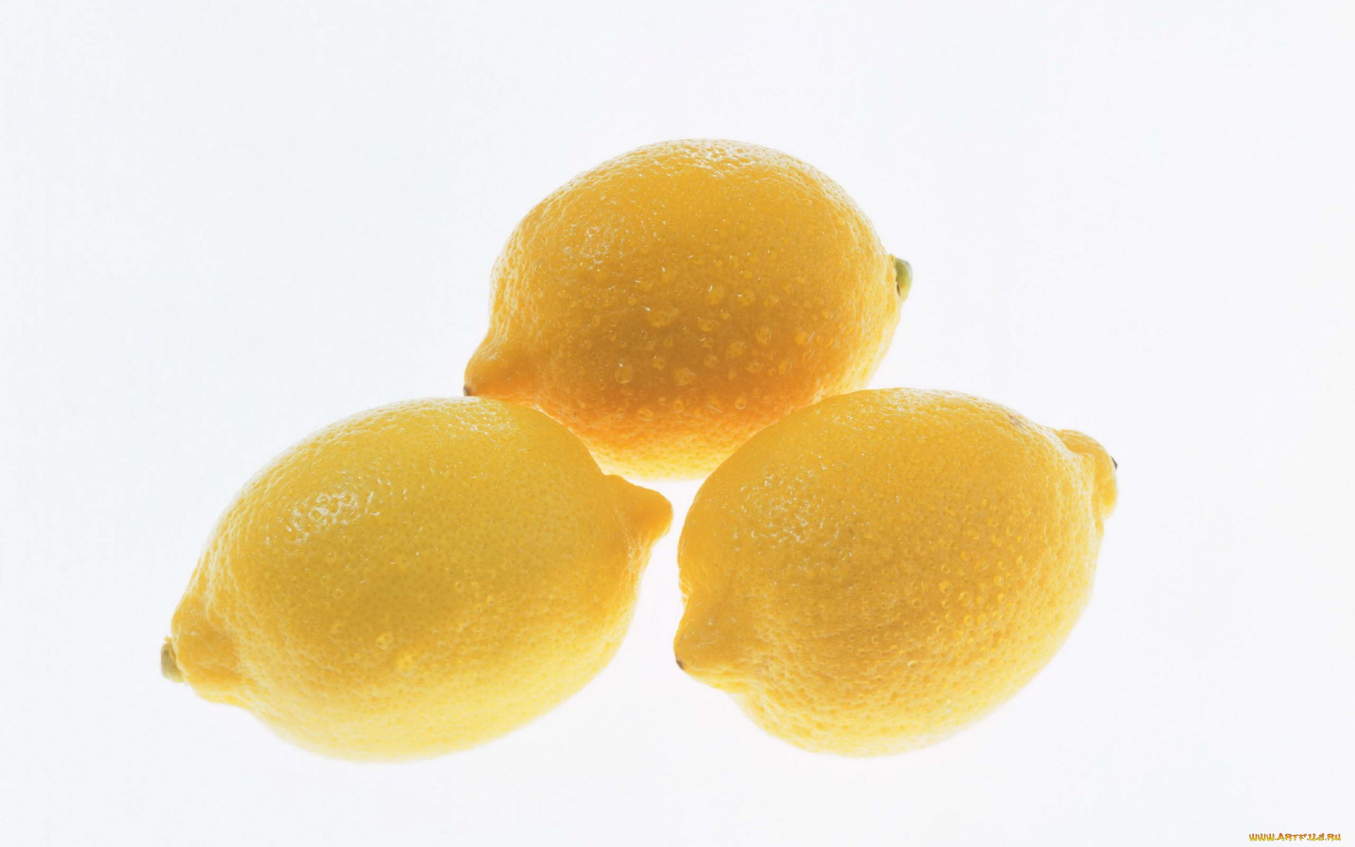 Обои капли, фрукты, лимон, цитрус, кислый, drops, fruit, lemon, citrus, sour разрешение 1920x1200 Загрузить