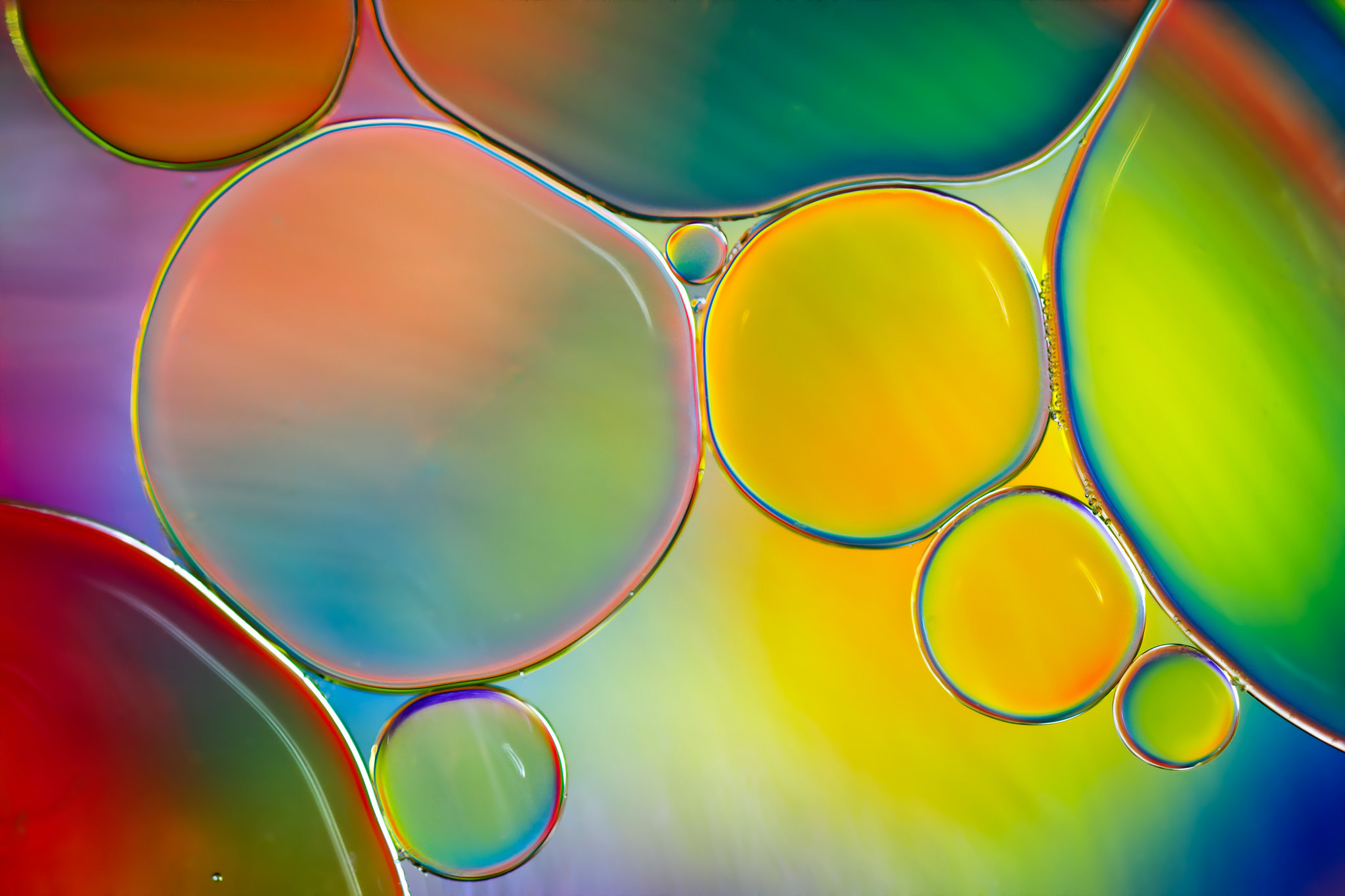 Обои вода, краски, цвет, воздух, масло, пузырьки, жидкость, water, paint, color, the air, oil, bubbles, liquid разрешение 2048x1365 Загрузить