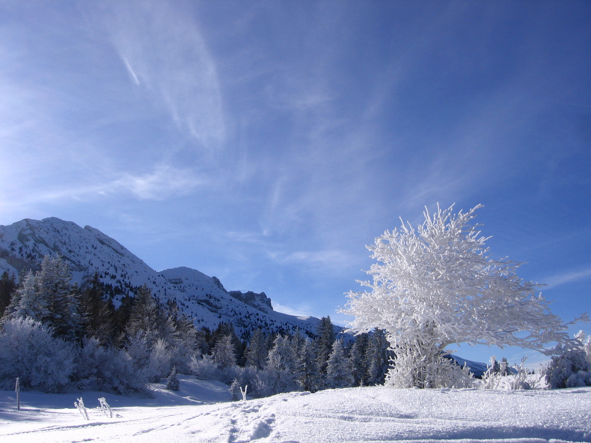 Обои деревья, горы, холмы, зима, trees, mountains, hills, winter разрешение 2048x1536 Загрузить