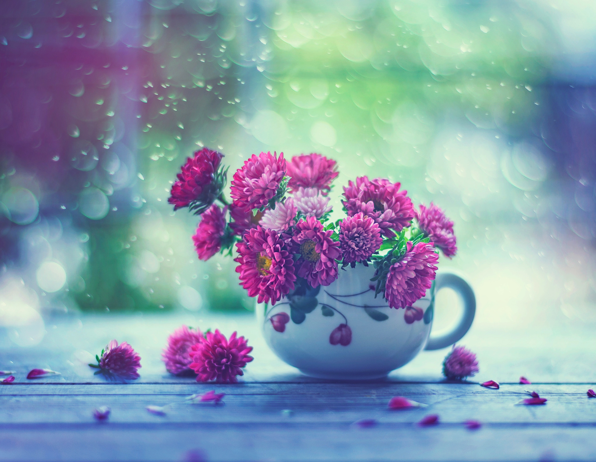 Обои цветы, капли, дождь, кружка, окно, астры, flowers, drops, rain, mug, window, asters разрешение 2048x1587 Загрузить