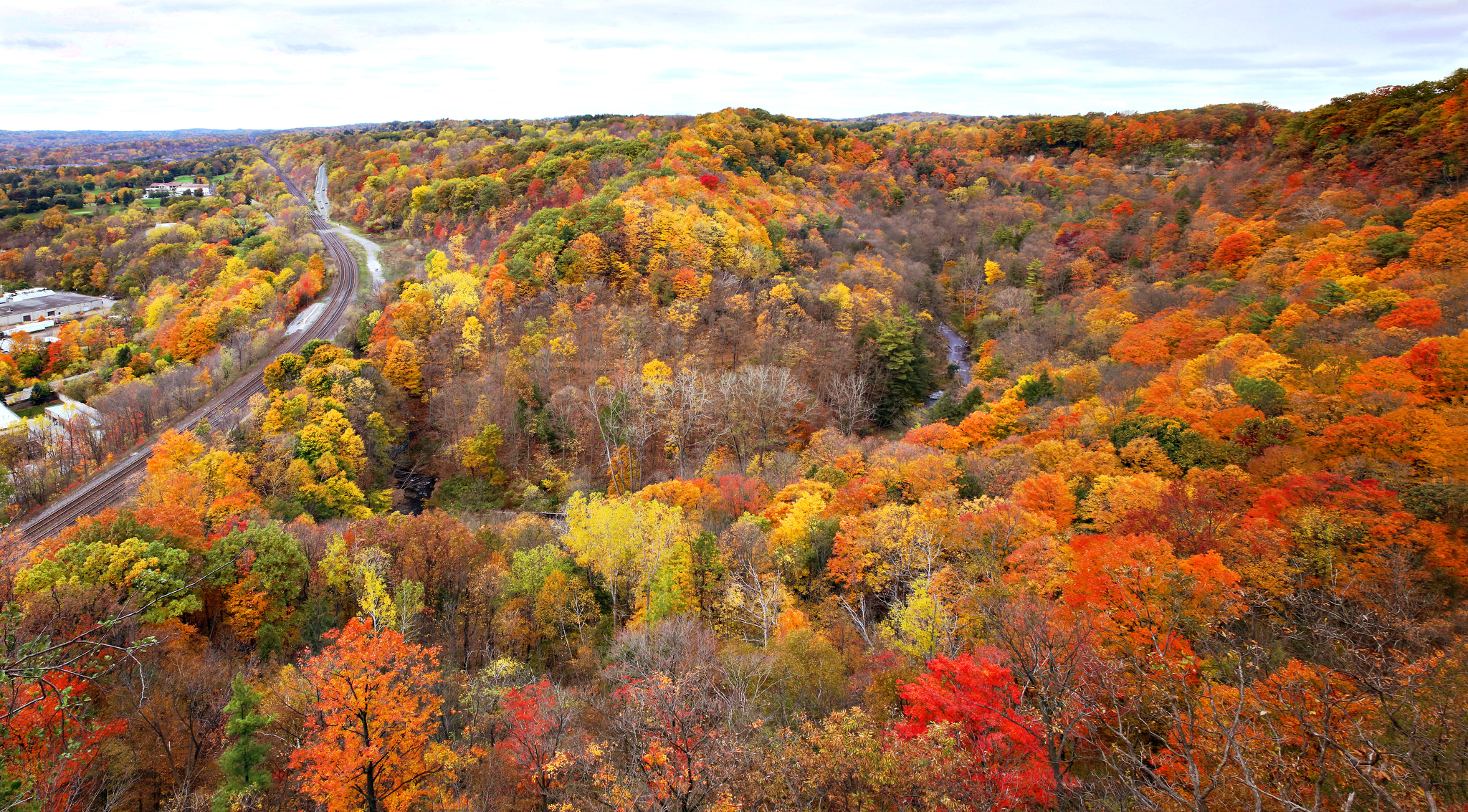 Обои дорога, деревья, река, рельсы, лес, осень, канада, онтарио, road, trees, river, rails, forest, autumn, canada, ontario разрешение 2048x1133 Загрузить