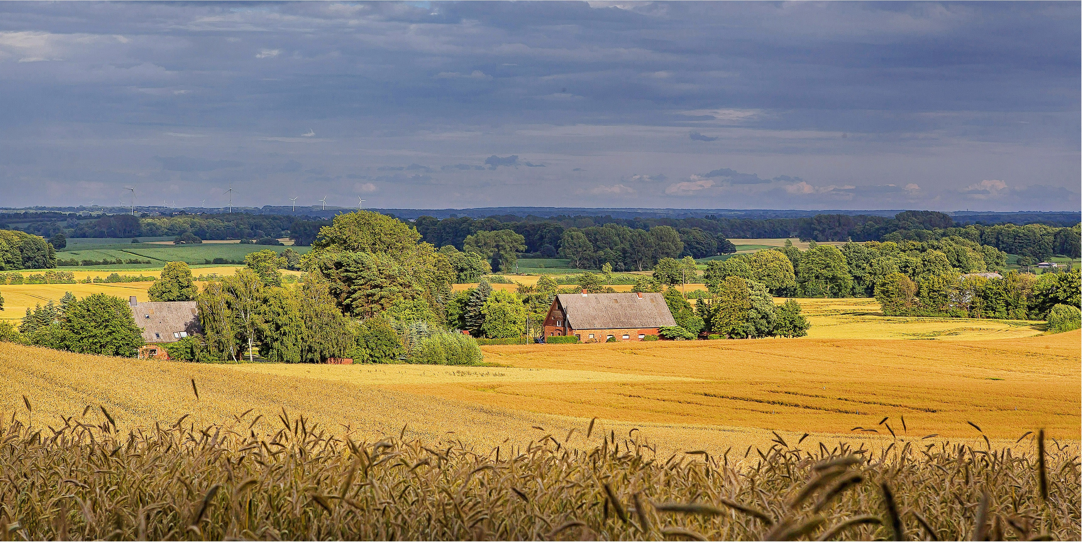 Обои деревья, пейзаж, поле, дома, trees, landscape, field, home разрешение 3544x1775 Загрузить