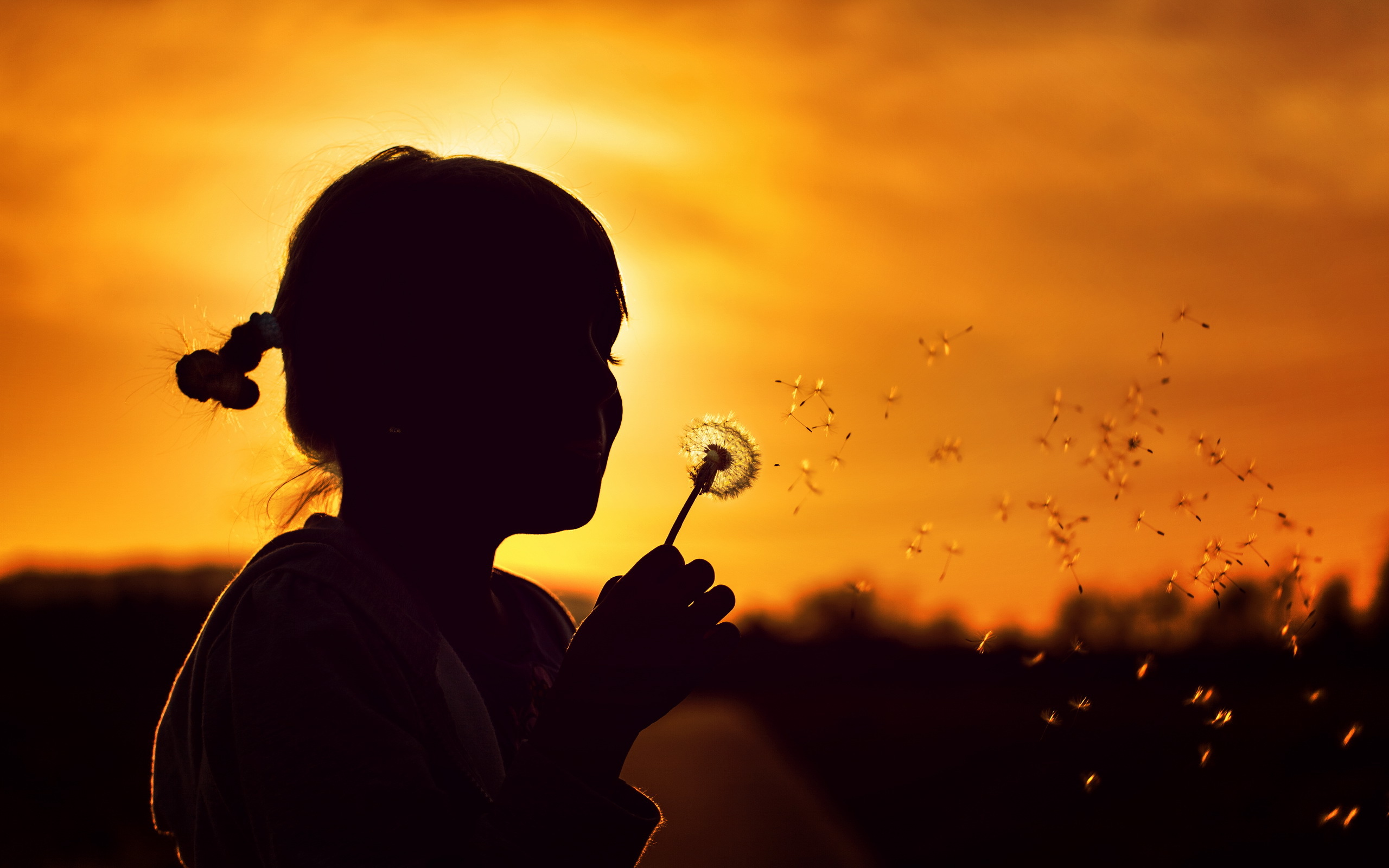 Обои природа, закат, девочка, силуэт, одуванчик, детство, nature, sunset, girl, silhouette, dandelion, childhood разрешение 2560x1600 Загрузить