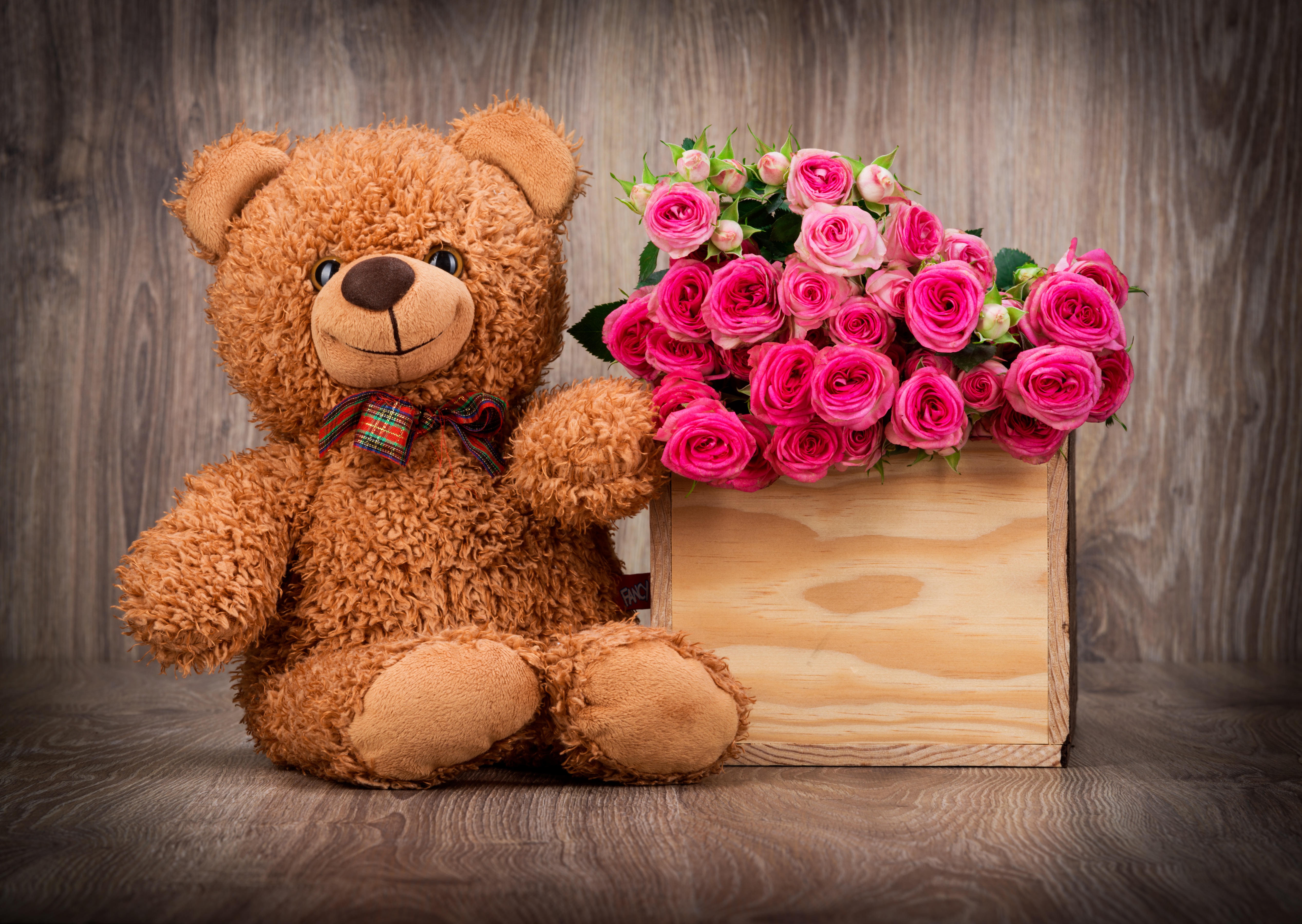 Обои обои, любовь, роз, плюшевый медведь, букет красивых цветов, романтические, wallpaper, love, roses, teddy bear, a bouquet of beautiful flowers, romantic разрешение 5070x3600 Загрузить