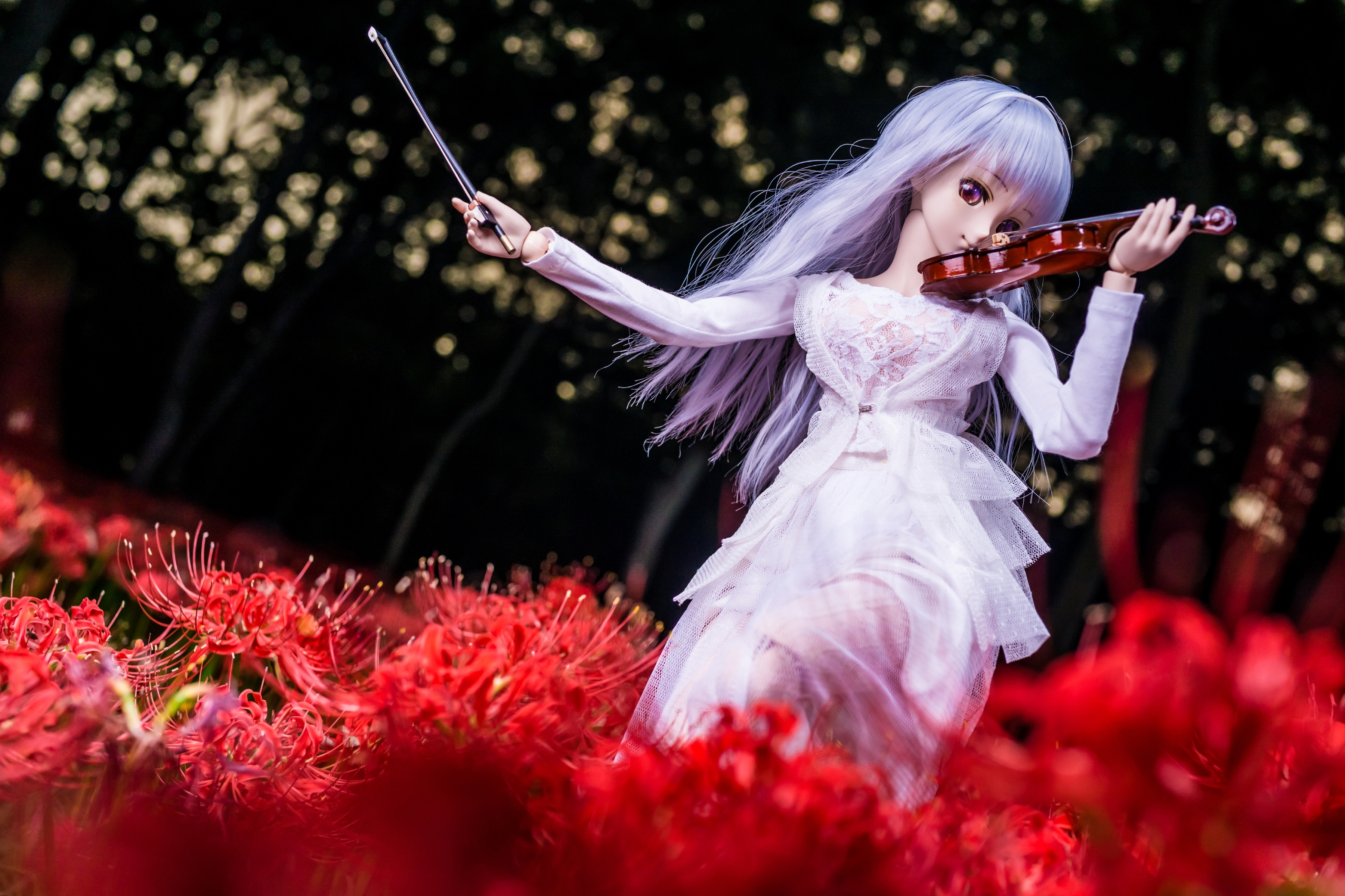 Обои цветы, девушка, скрипка, кукла, волосы, flowers, girl, violin, doll, hair разрешение 3600x2400 Загрузить