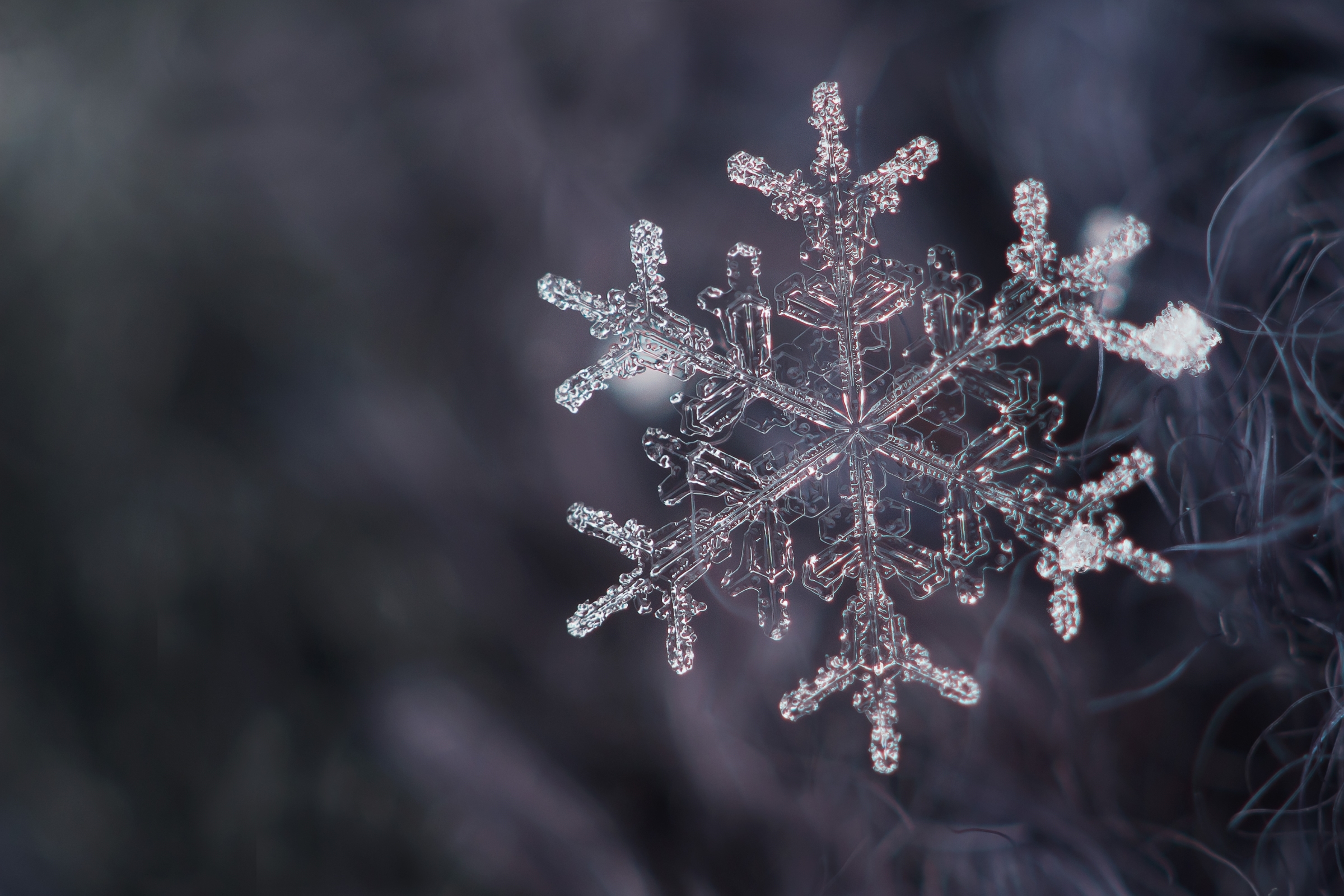 Обои снег, снежинка, кристалл, snow, snowflake, crystal разрешение 2400x1600 Загрузить